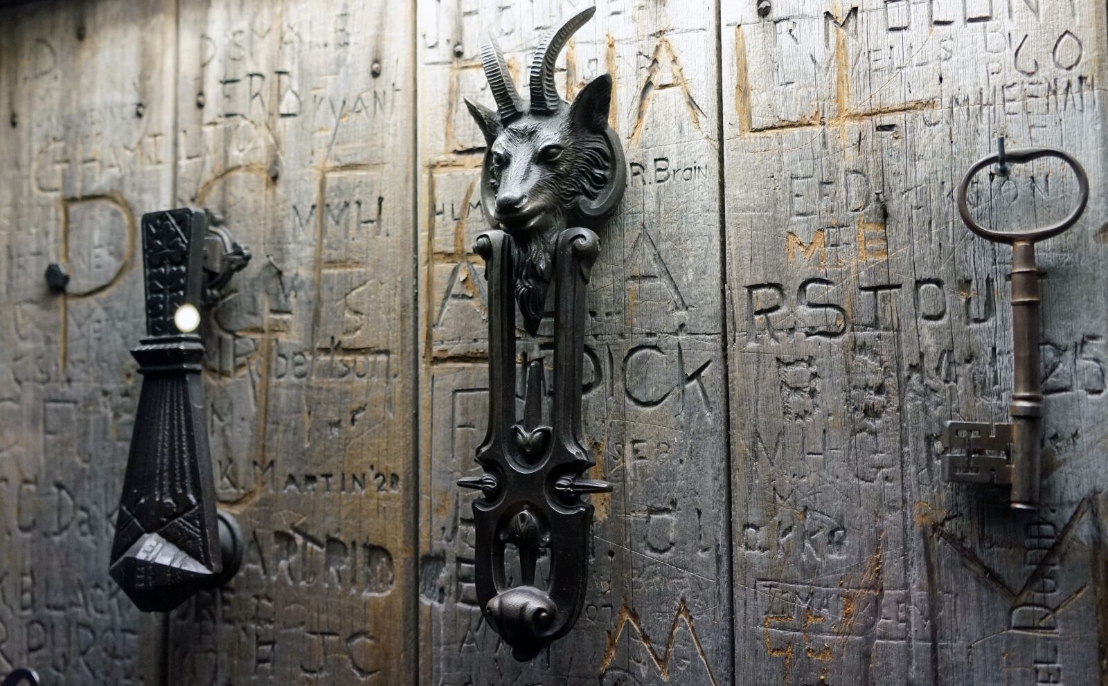 Sony a7 + Sony FE 24-240mm F3.5-6.3 OSS sample photo. Doorknocker, capricorn, decorated photography