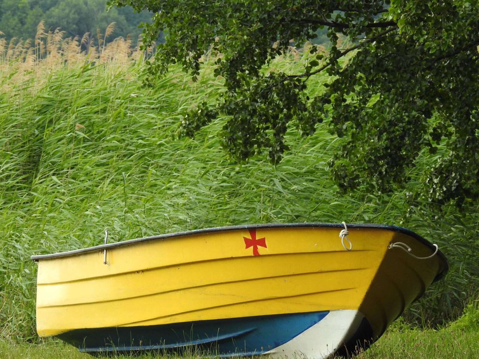 Nikon Coolpix P900 sample photo. Boat, lake, water photography