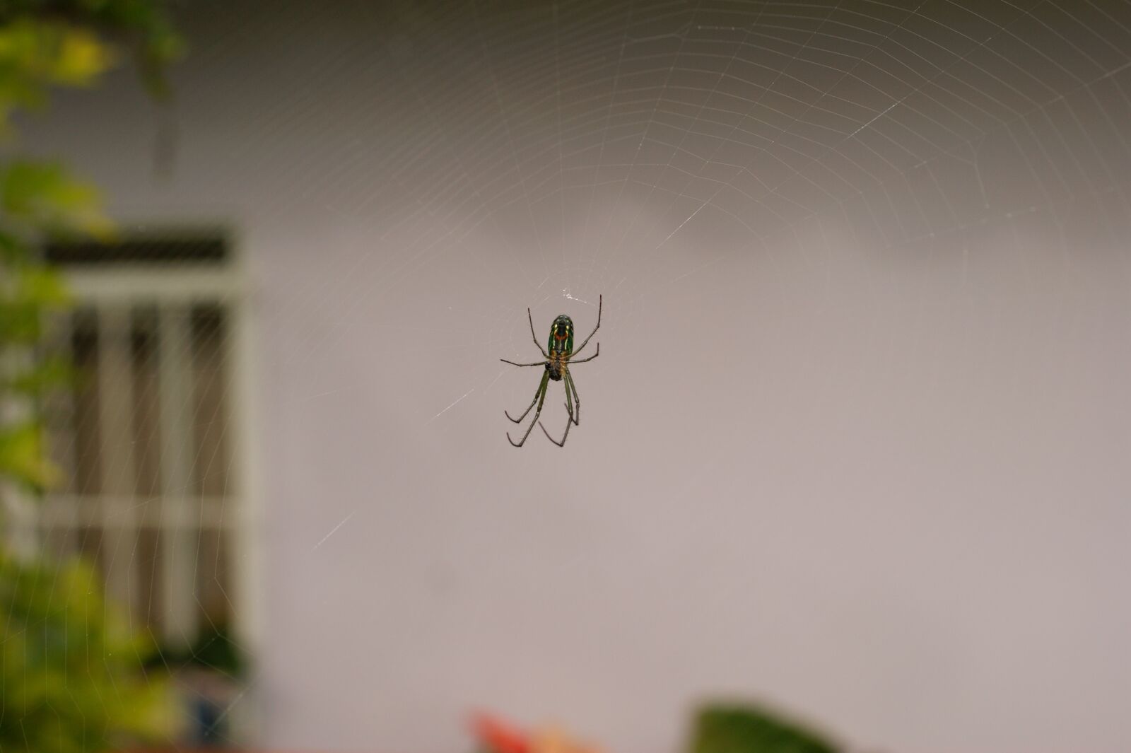 Sony Alpha DSLR-A390 sample photo. Images, area, kettle photography