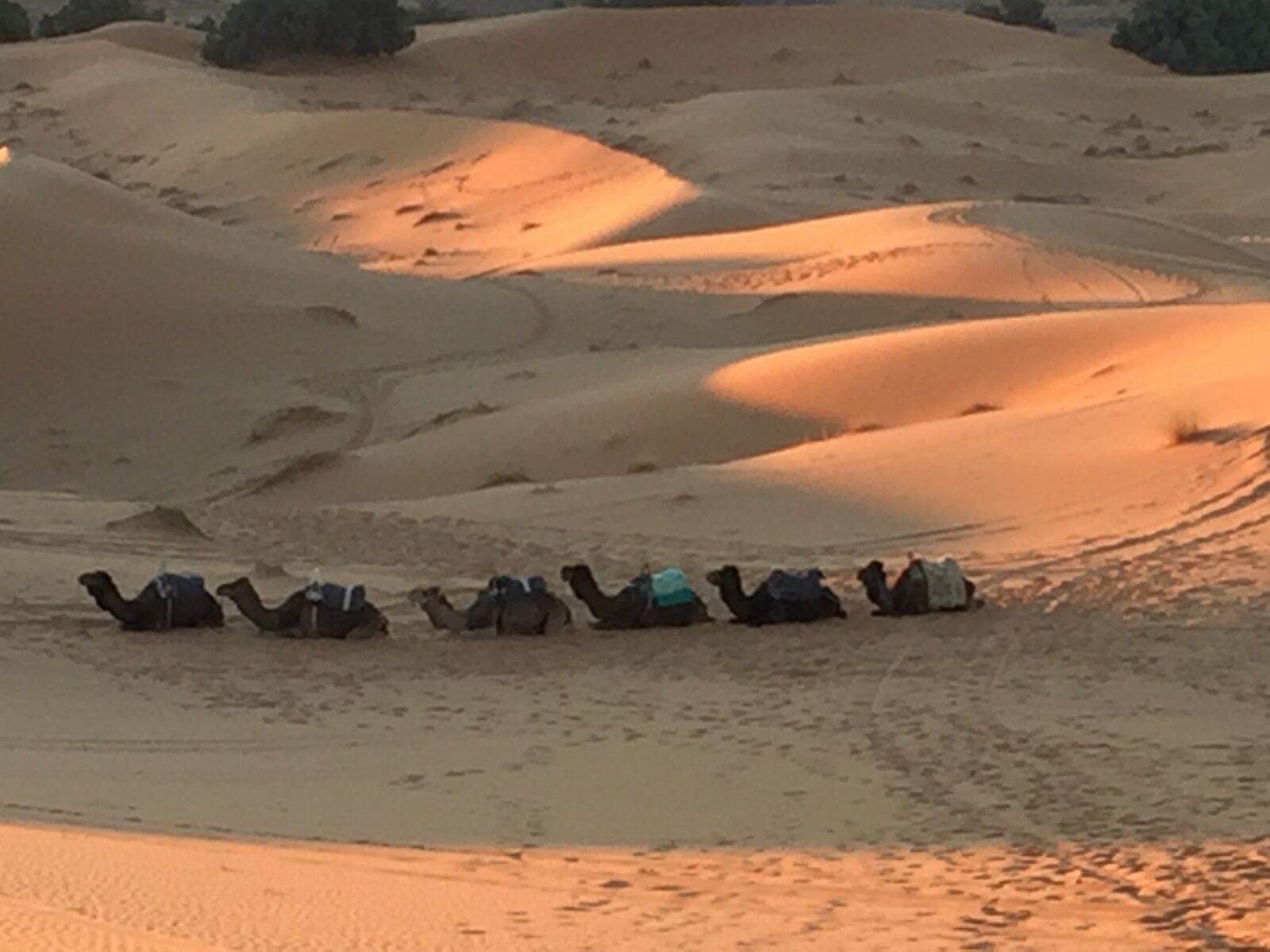 iPhone 6 back camera 4.15mm f/2.2 sample photo. Desert, morocco, sand photography