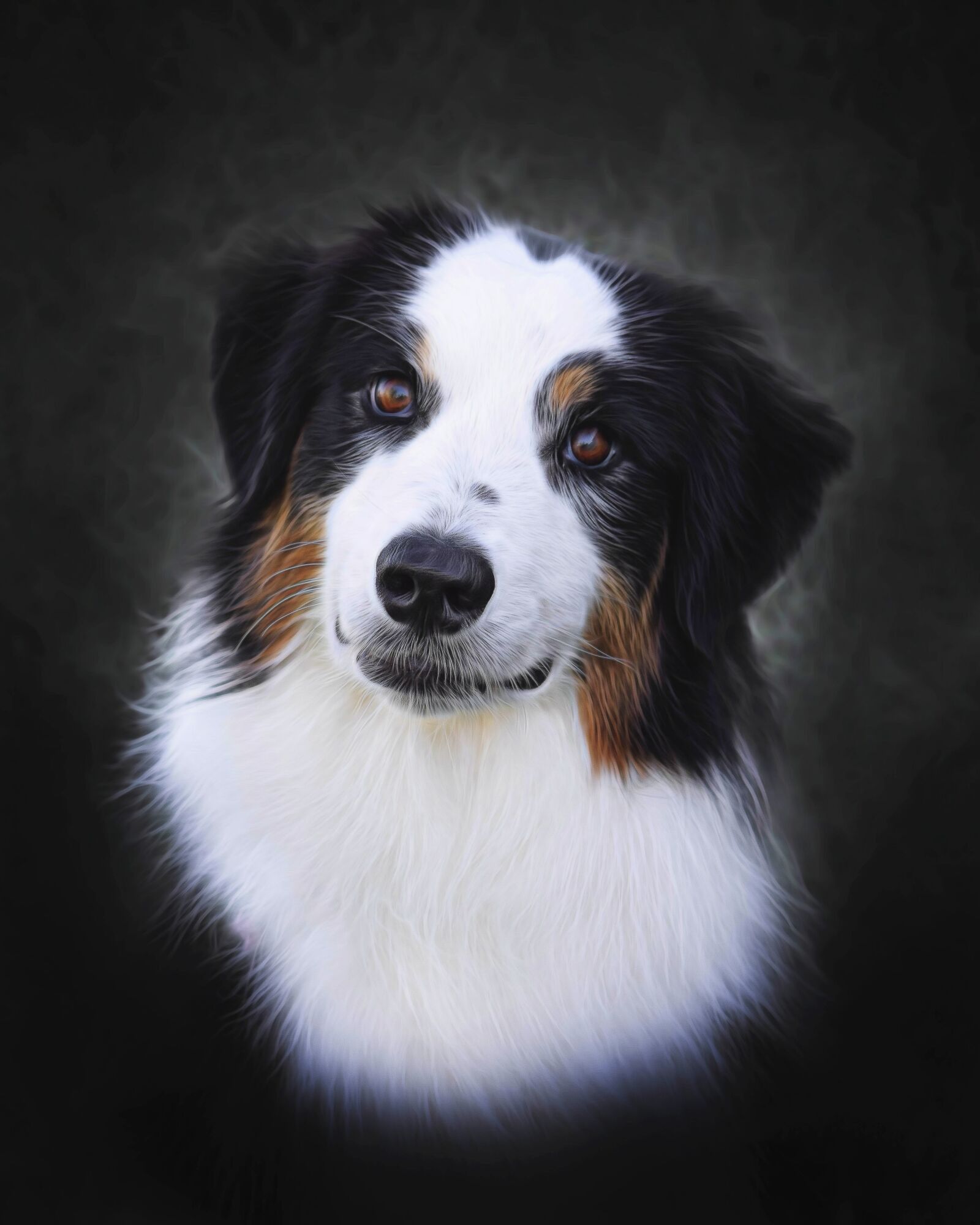 Nikon D3300 sample photo. Dog, pet, animal photography