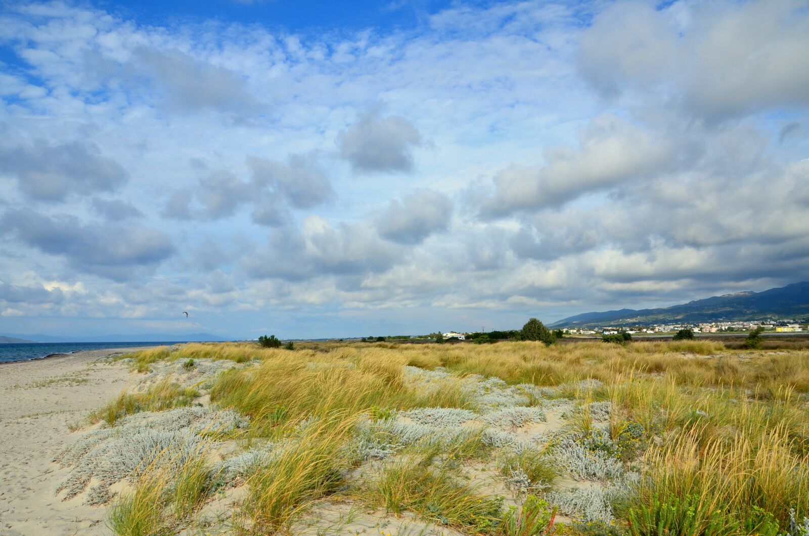 Nikon D7000 sample photo. The dynamics of, view photography