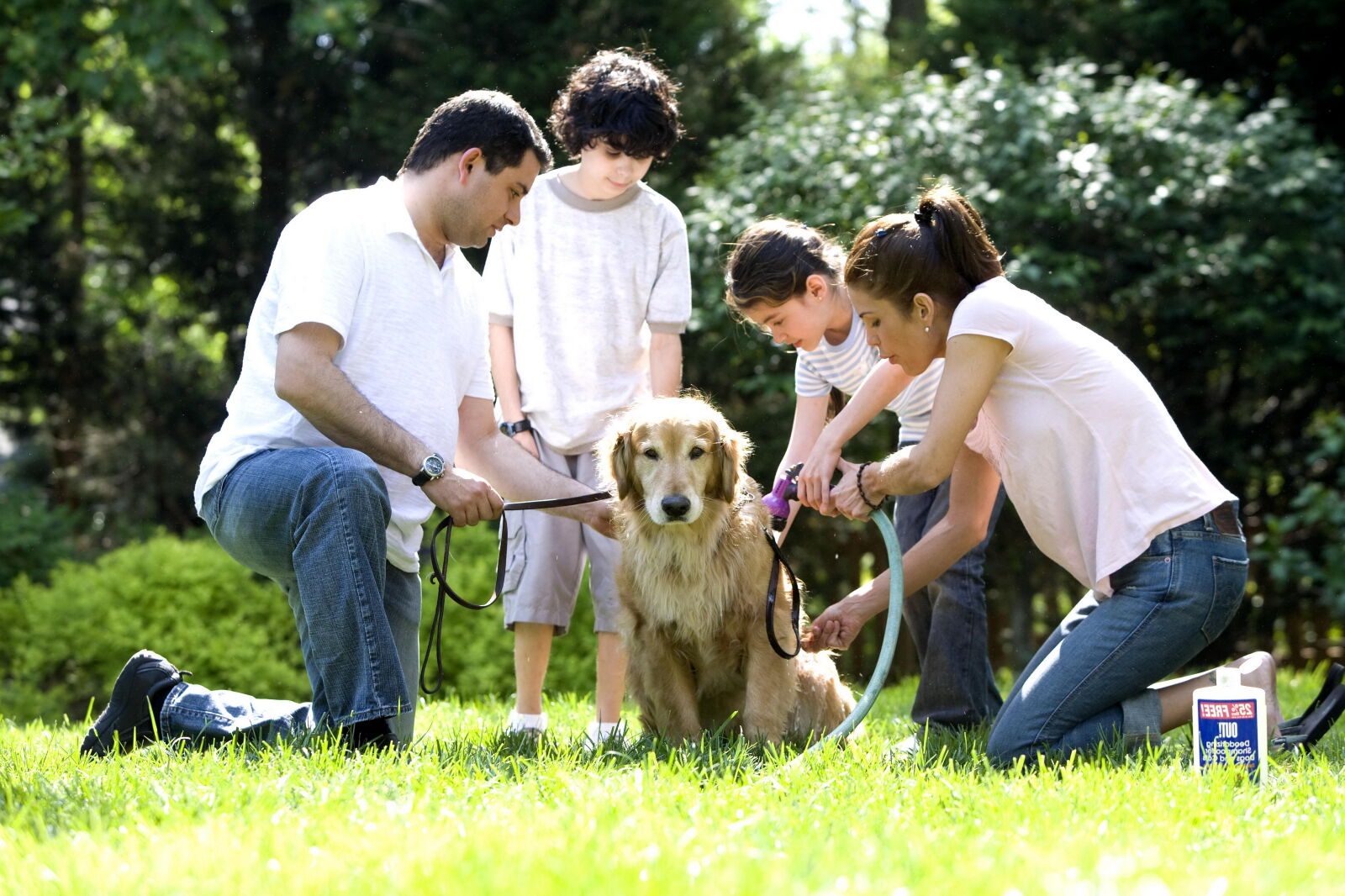 Canon EOS-1Ds Mark II sample photo. Family, washing, furry, labrador photography
