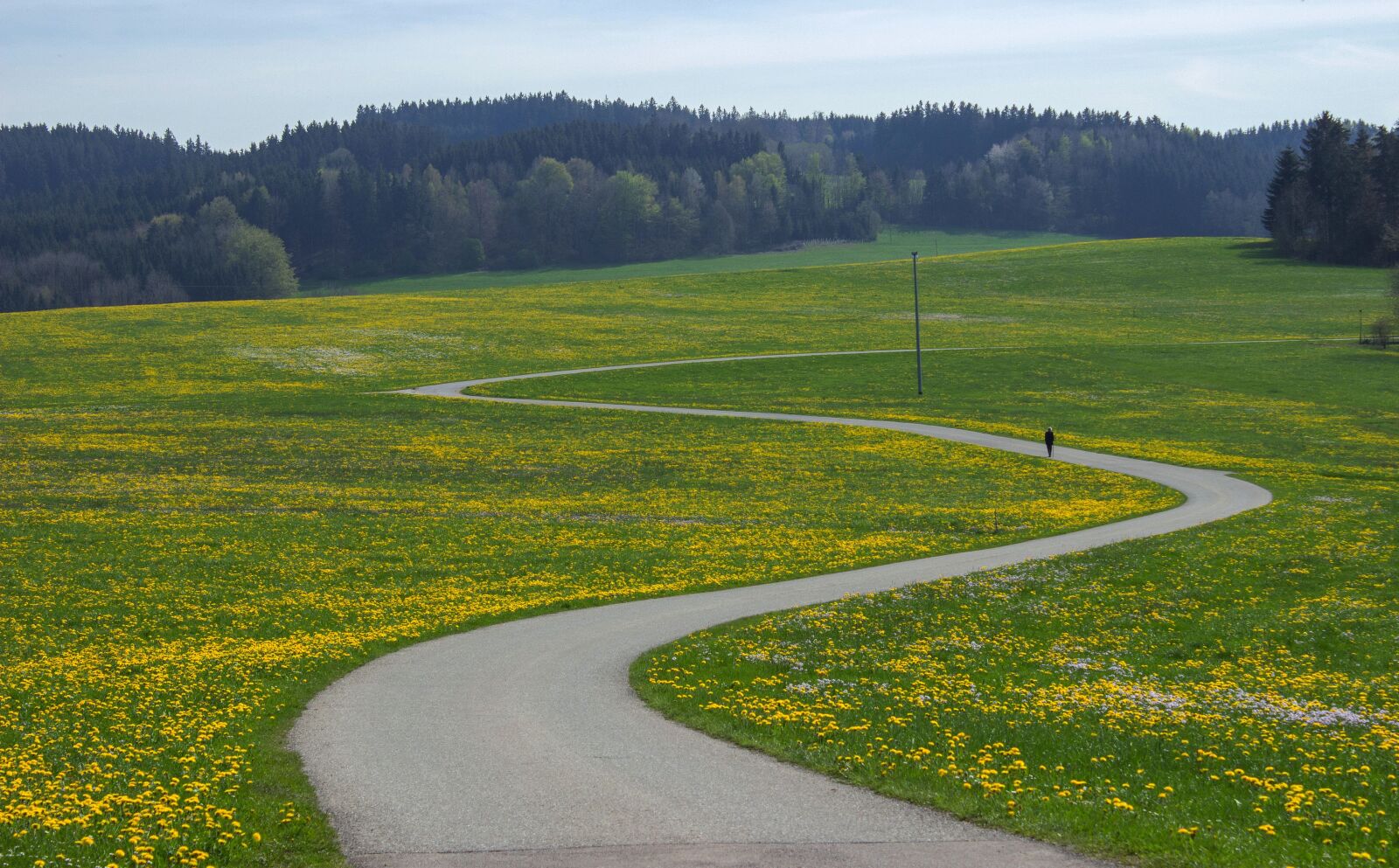 Canon EOS 600D (Rebel EOS T3i / EOS Kiss X5) sample photo. Landscape, flower meadow, scale photography