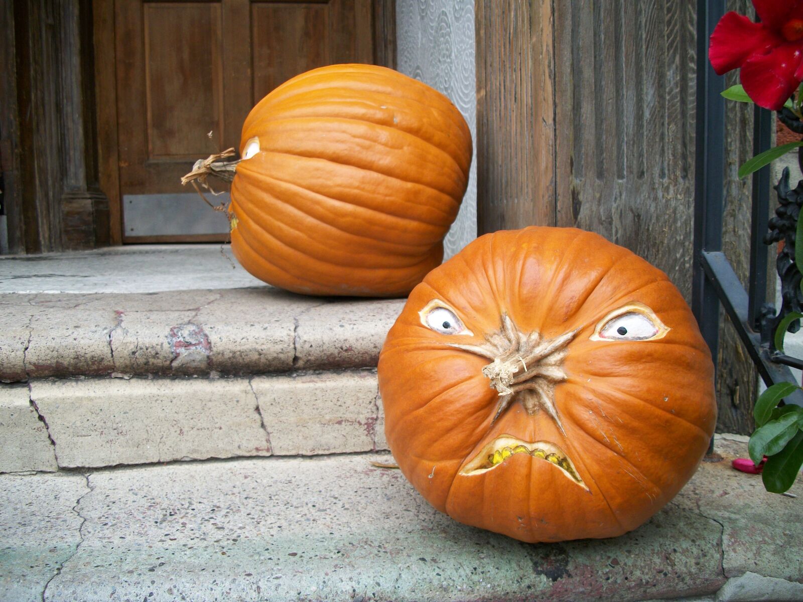 Kodak EASYSHARE C182 DIGITAL CAMERA sample photo. Pumpkin, orange, halloween photography
