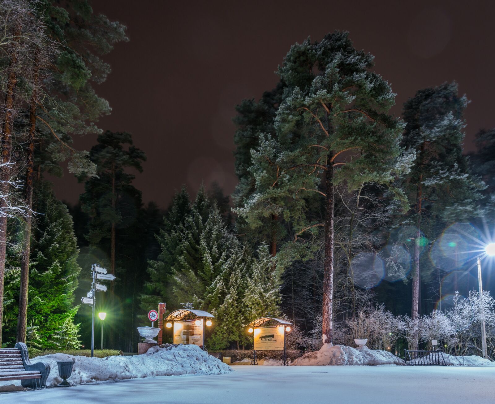 Sony a7R II sample photo. Trees, winter, snow photography