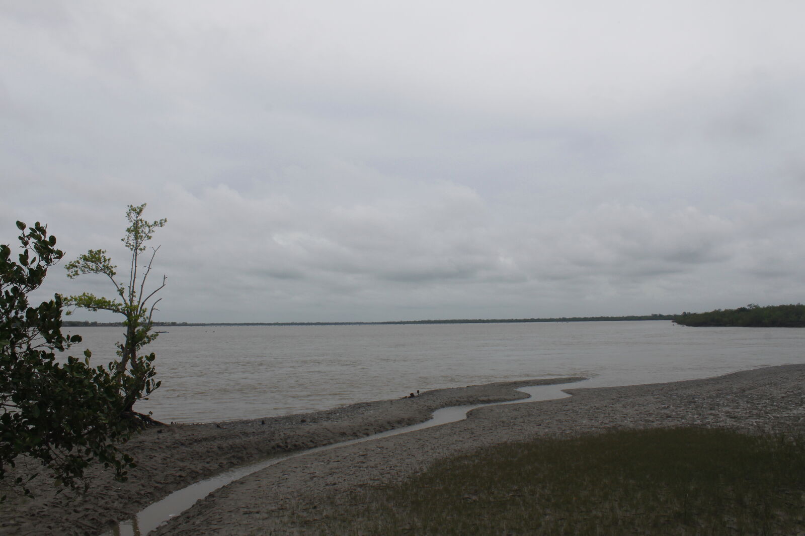 Canon EOS 500D (EOS Rebel T1i / EOS Kiss X3) sample photo. Bangladesh, canal, fisherman, nature photography