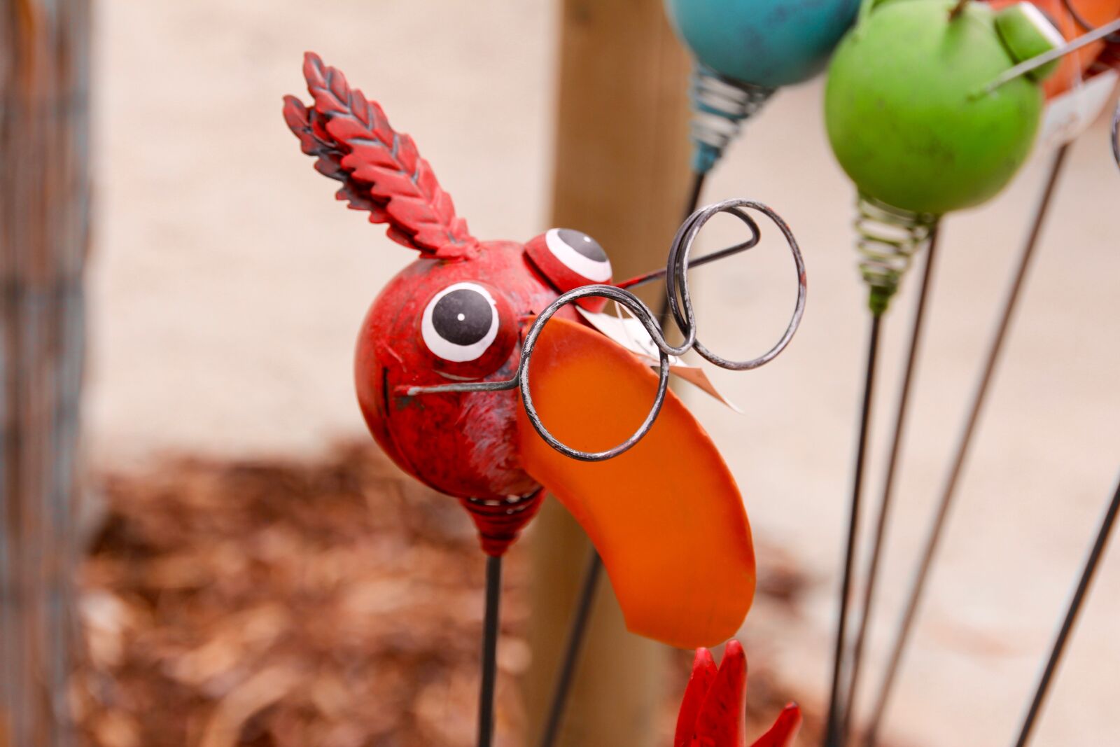 Canon EOS 60D sample photo. Bird, glasses, deco photography