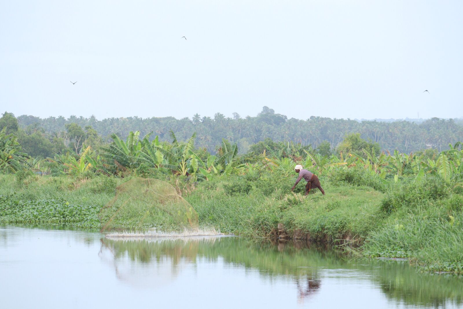 Canon EOS 250D (EOS Rebel SL3 / EOS Kiss X10 / EOS 200D II) sample photo. Kerala, nature, water photography