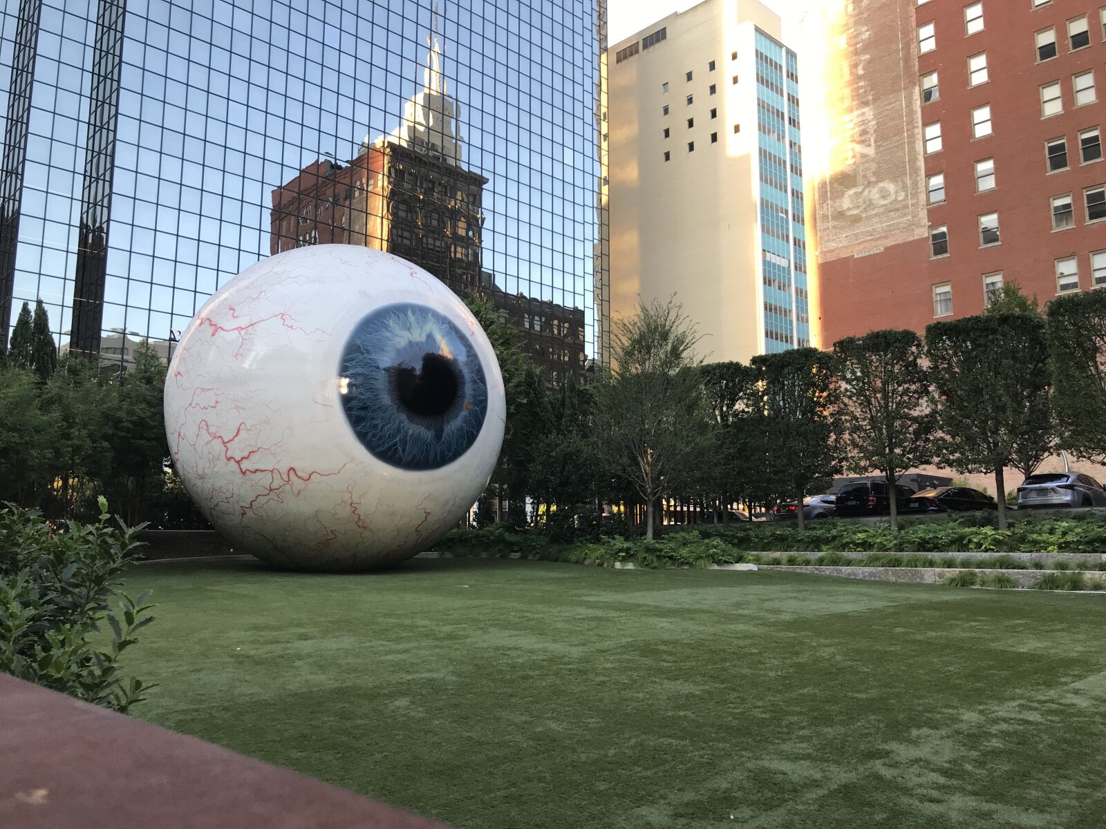 Apple iPhone 7 Plus sample photo. Dallas, eyeball photography