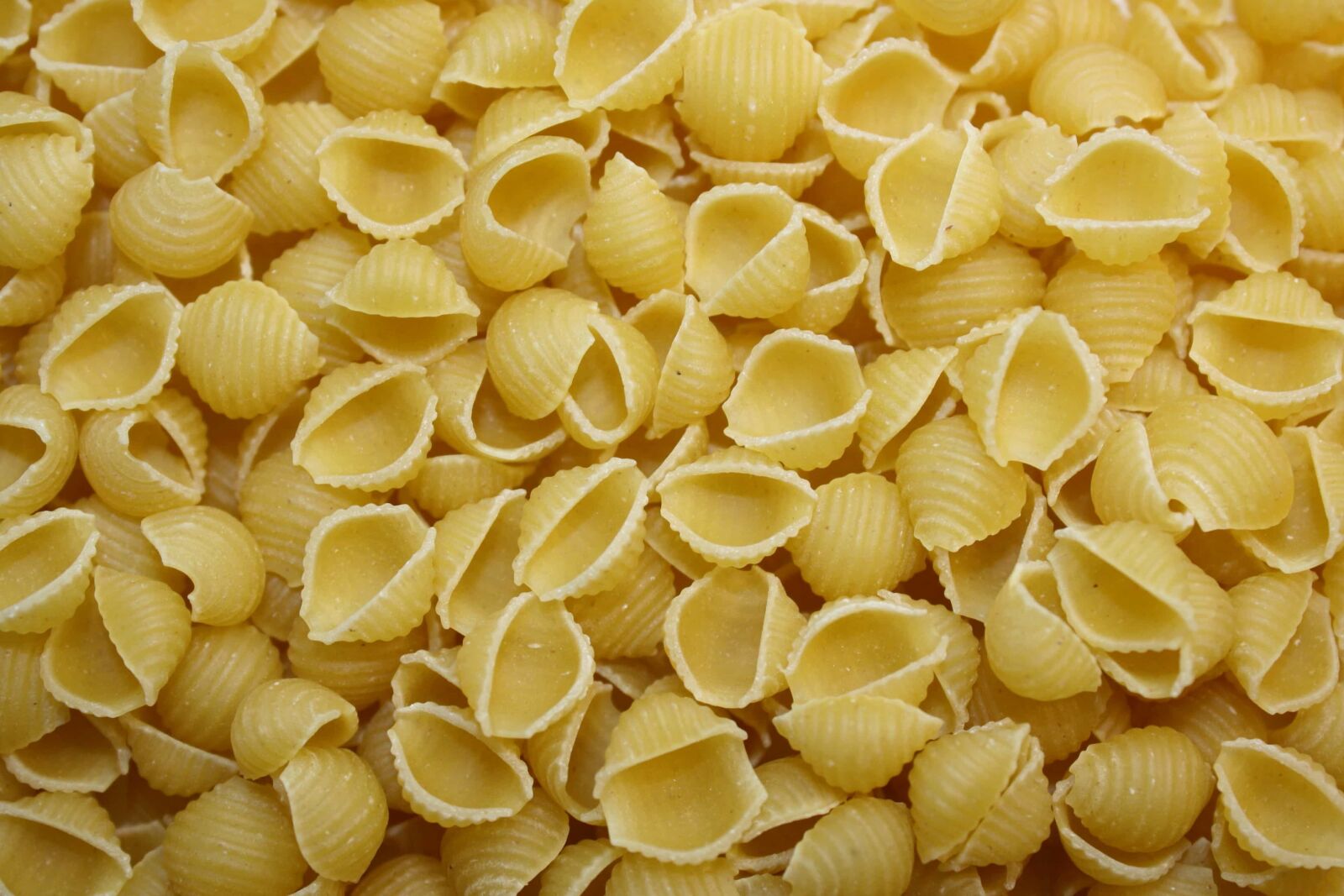 f/3.5-5.6 IS sample photo. Healthy, macaroni, pasta, food photography