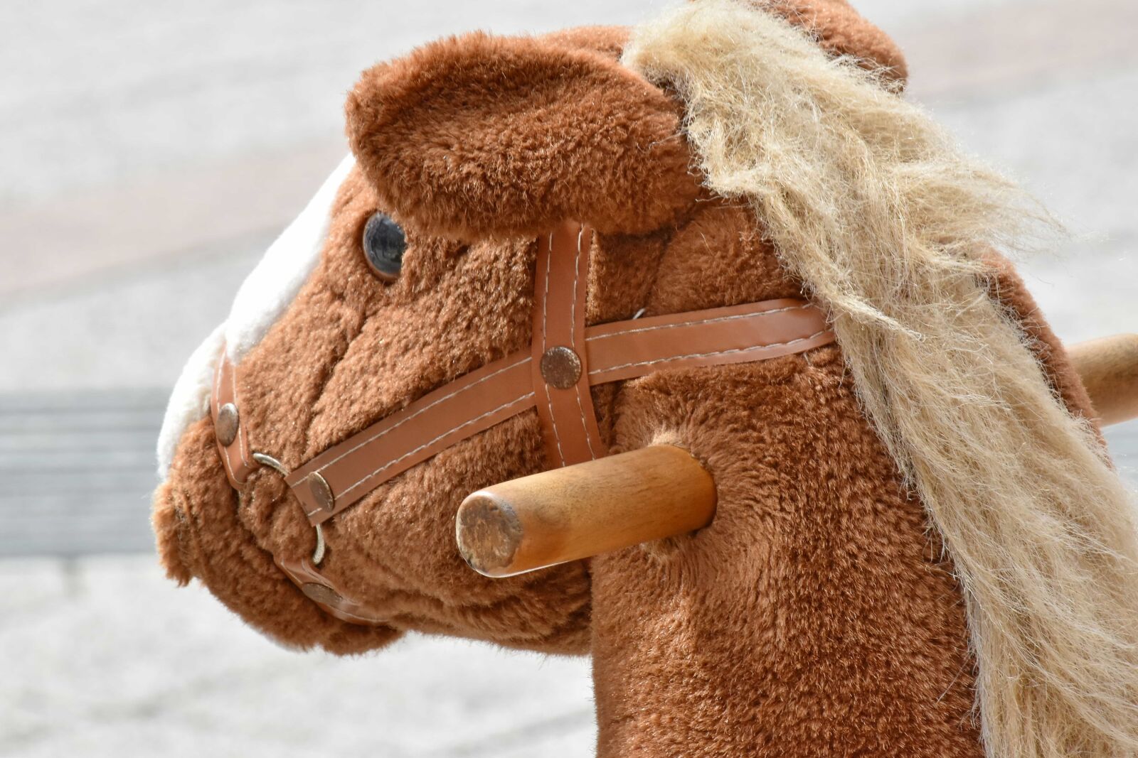 Nikon D5500 sample photo. Detail, handle, horse, object photography