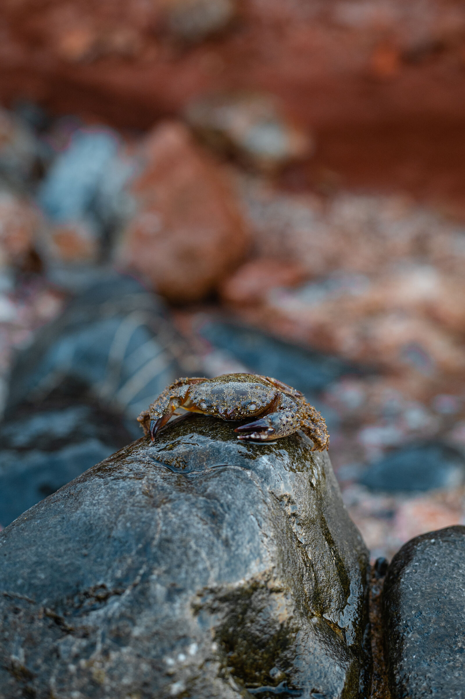 Nikon D780 sample photo