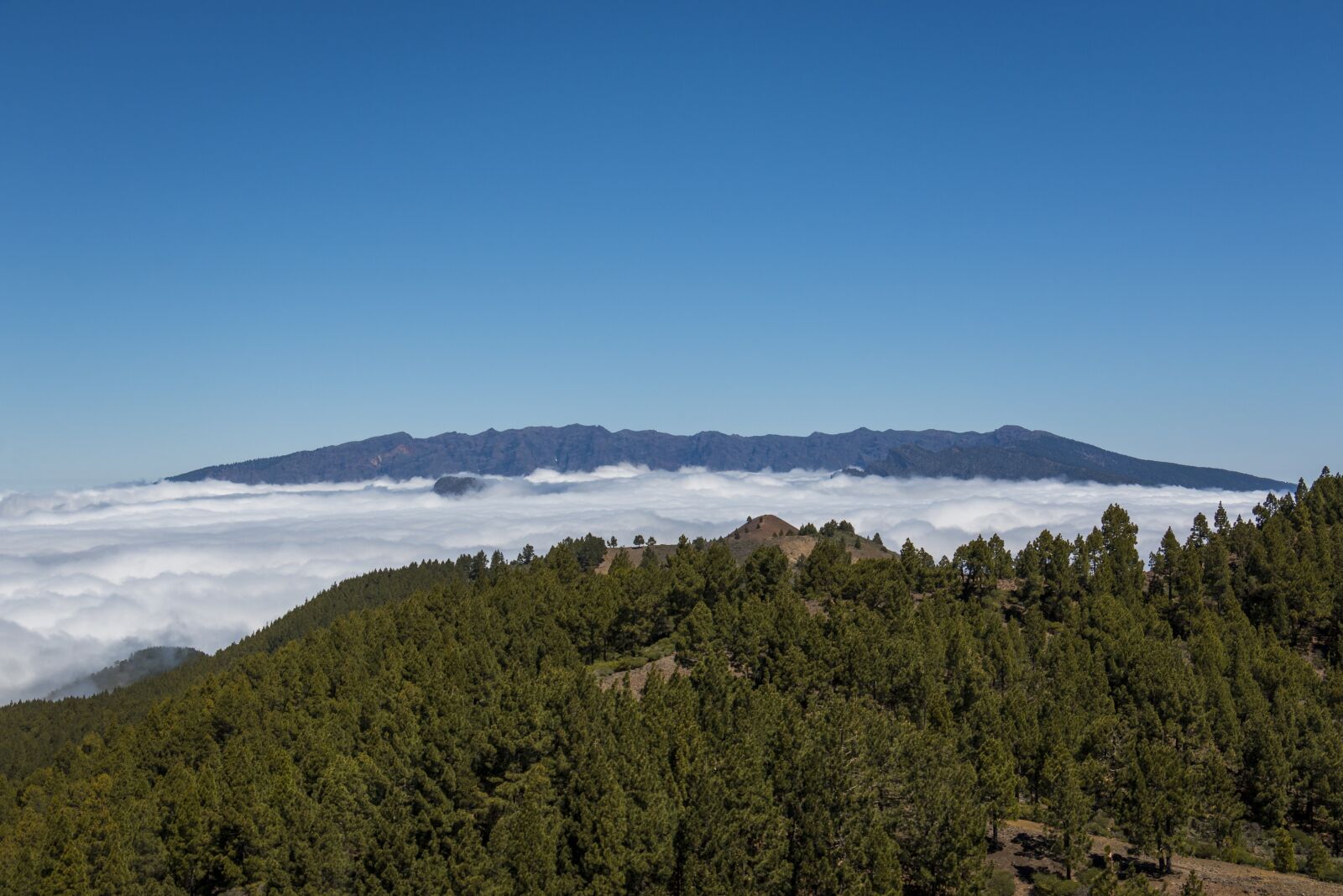 Canon EOS 70D sample photo. Volcano, canary islands, volcanic photography