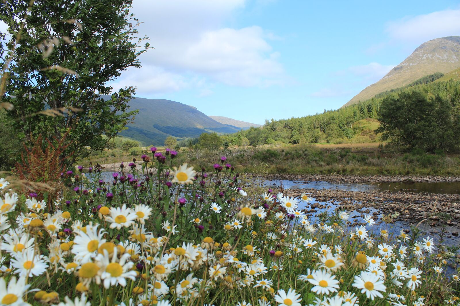 Canon EOS 600D (Rebel EOS T3i / EOS Kiss X5) sample photo. Scotland, highlands and islands photography