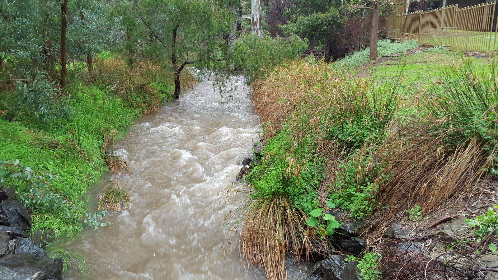 Samsung Galaxy S6 sample photo. Flood, flooding, river, torrent photography