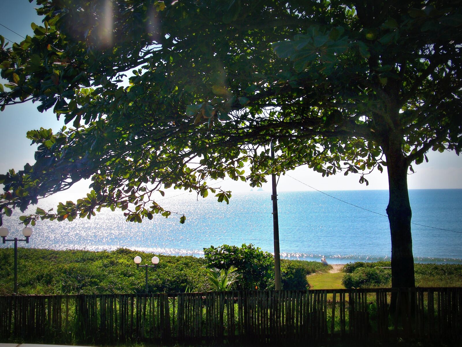 Kodak EASYSHARE Z1012 IS DIGITAL CAMERA sample photo. Beach, tree, landscape photography