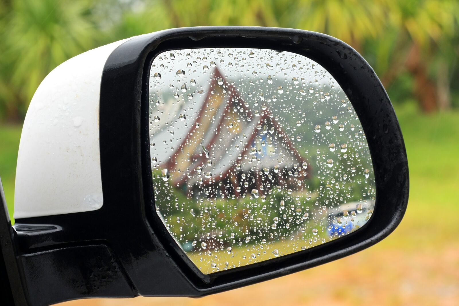 Canon EOS 450D (EOS Rebel XSi / EOS Kiss X2) sample photo. Rainy, season, raindrop photography