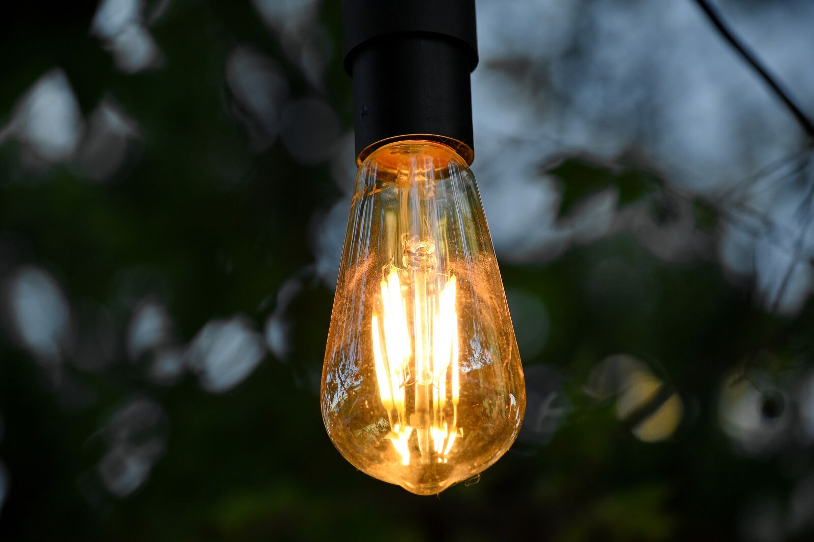 Nikon D5500 sample photo. Light bulb, bottle, lamp photography