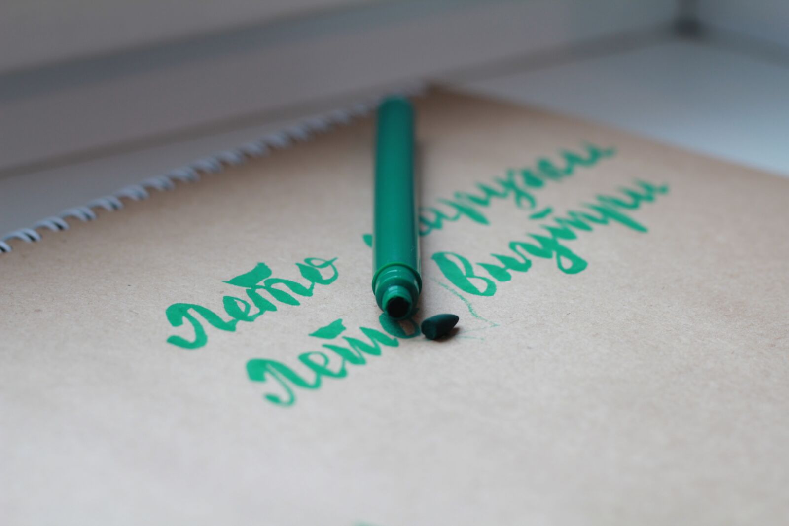 Canon EOS 550D (EOS Rebel T2i / EOS Kiss X4) sample photo. Calligraphy, pen, green photography