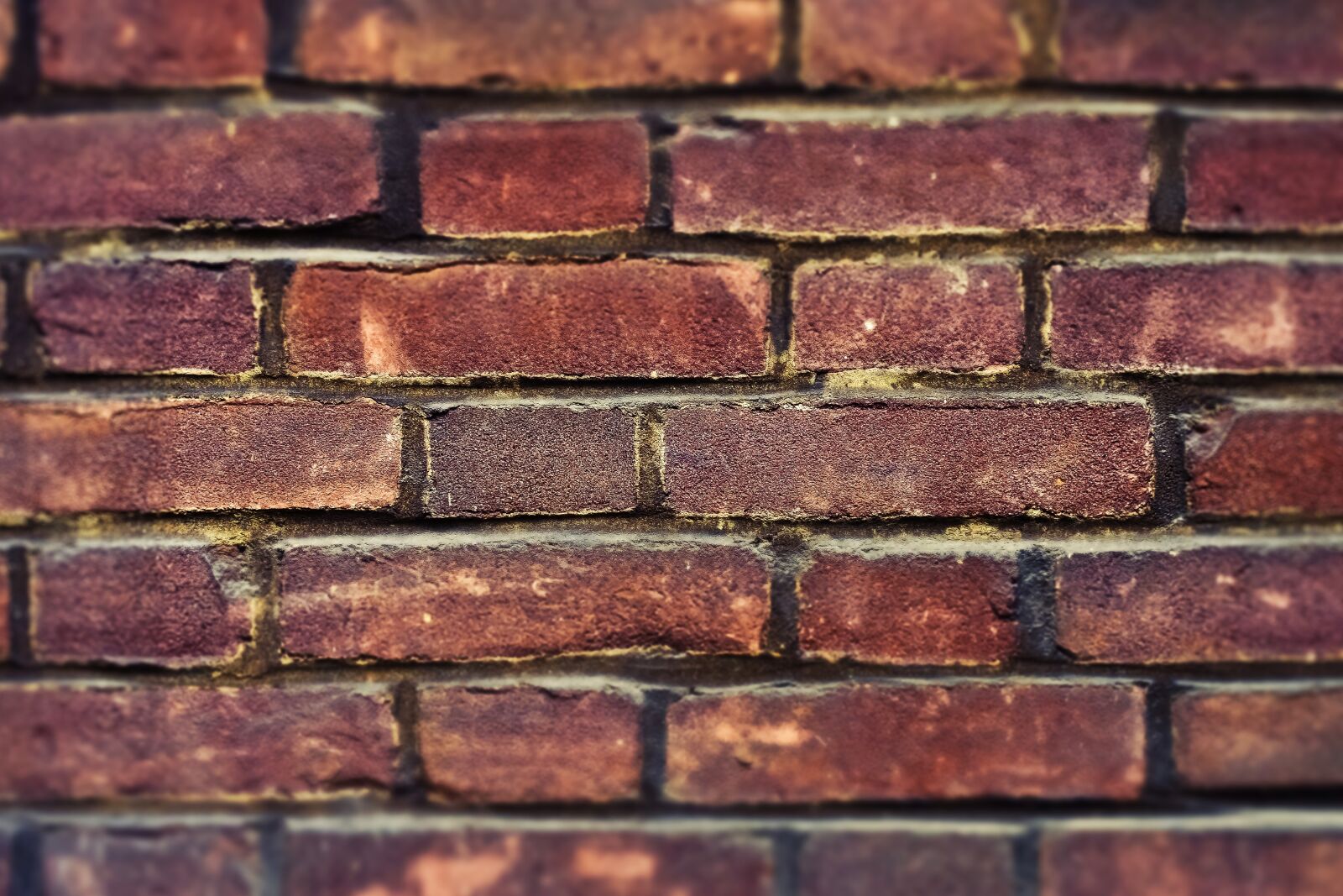 Olympus OM-D E-M10 sample photo. Brick, stone, wall photography
