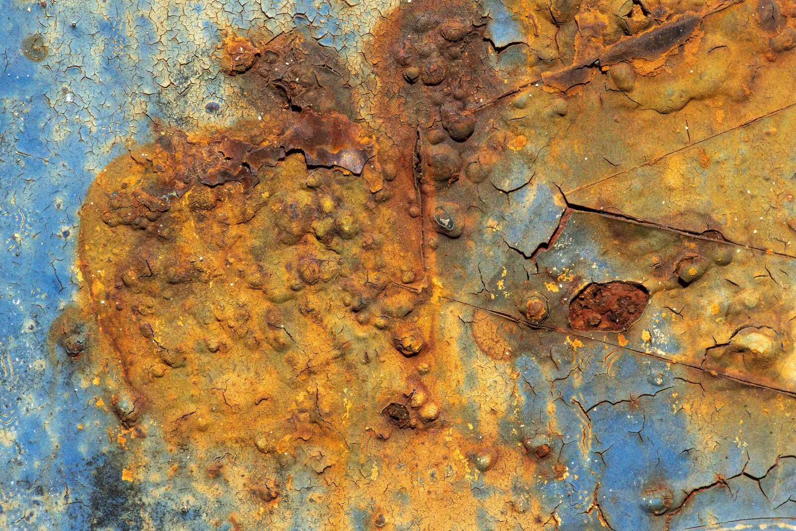 Nikon D750 sample photo. Rust, rusty, metal photography
