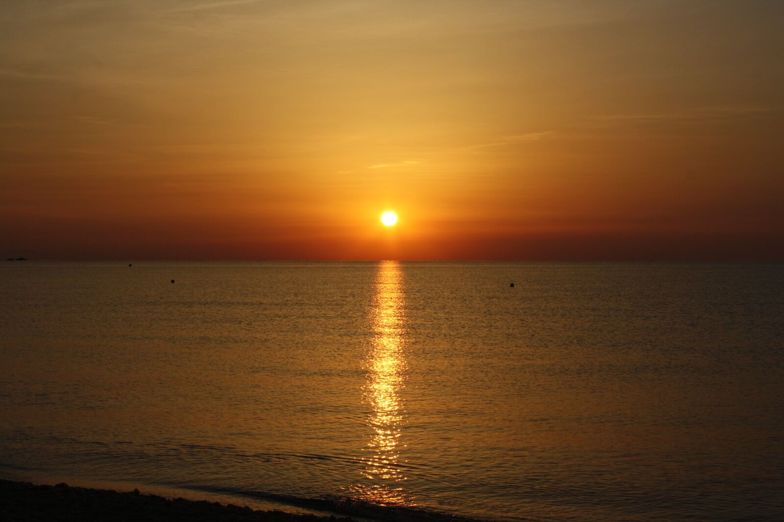 Canon EOS 1000D (EOS Digital Rebel XS / EOS Kiss F) sample photo. Landscape, sunrise, morgenstimmung photography