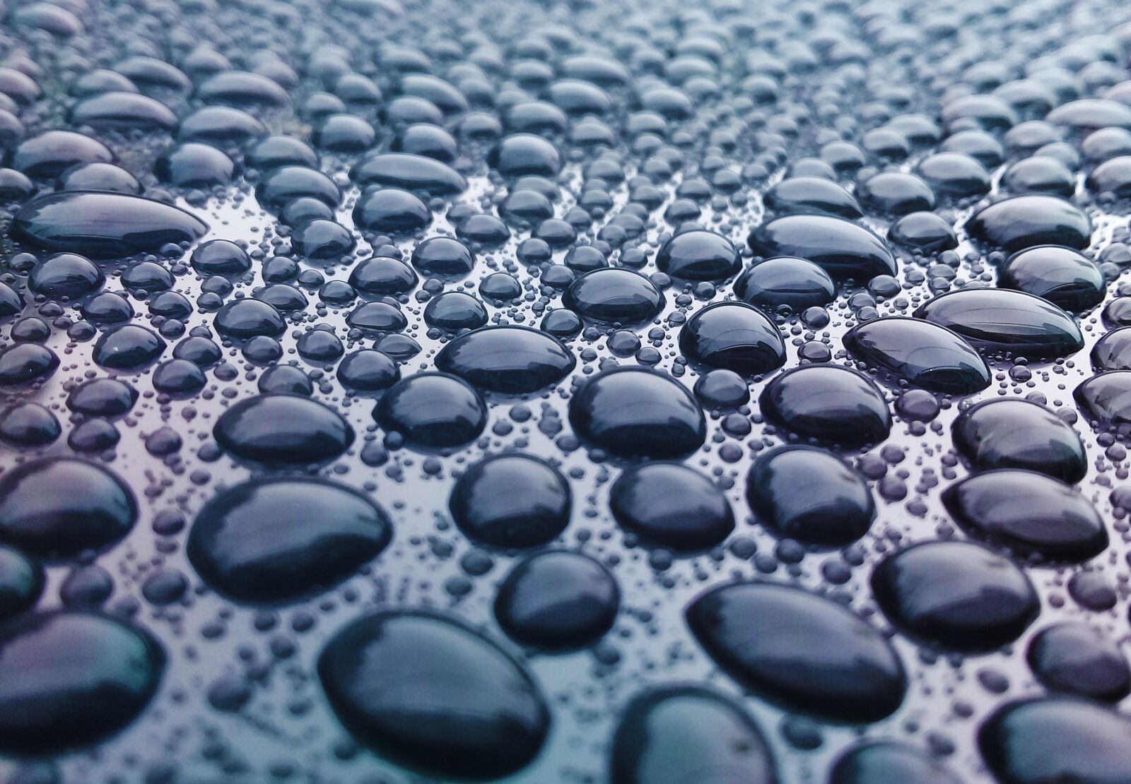Samsung Galaxy J2 Prime sample photo. Drops, texture, rain photography