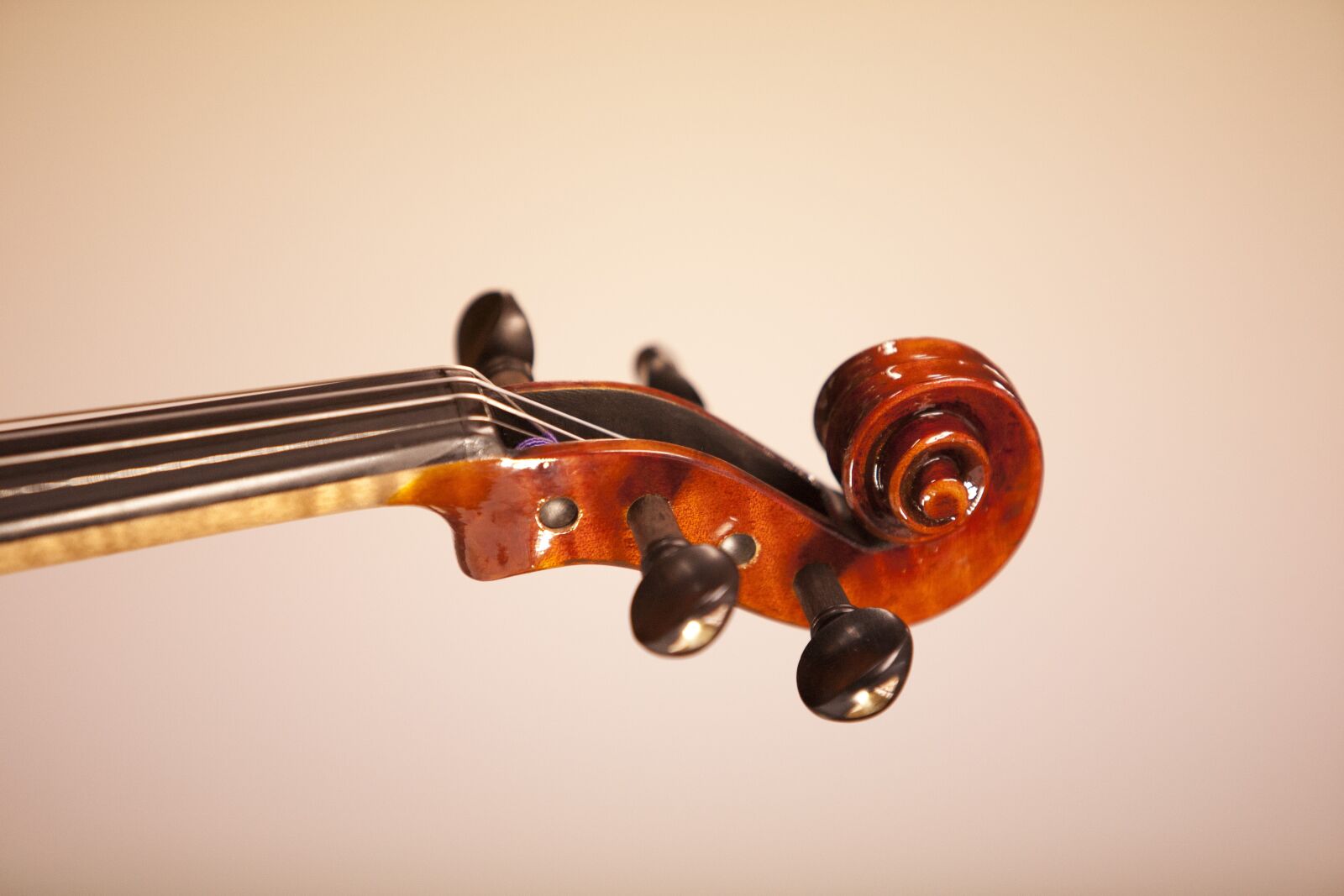 Canon EOS 5D sample photo. Music, instrument, classic photography