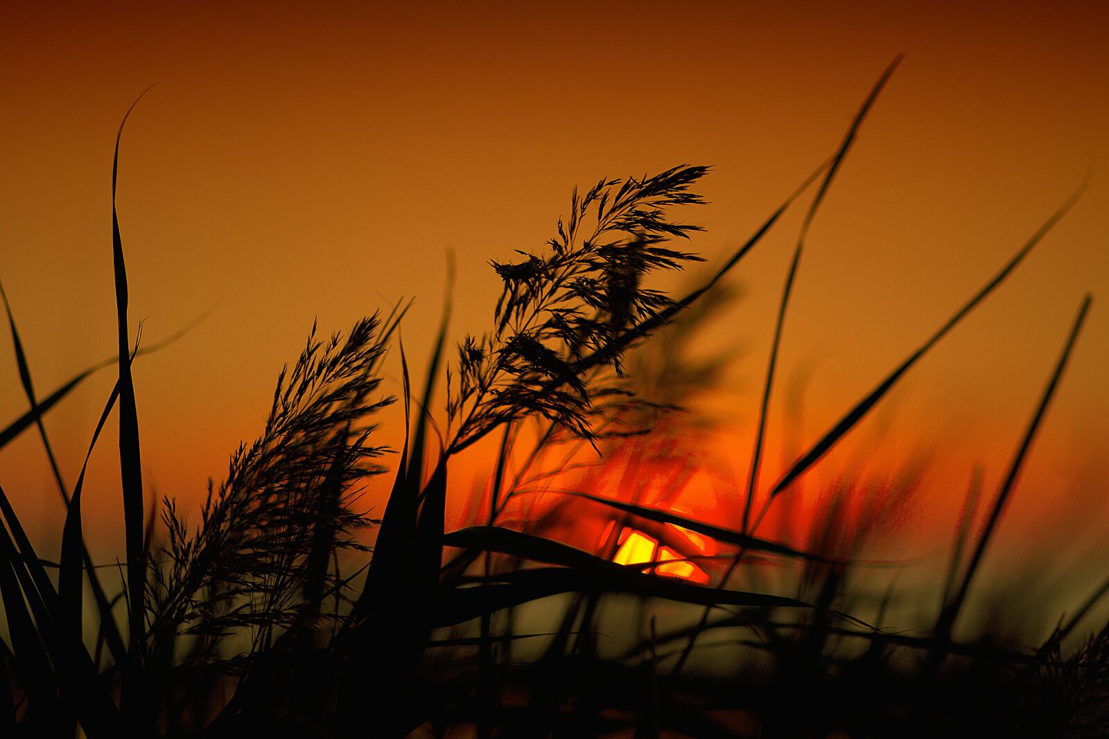 Canon EOS 7D sample photo. Sunset, dawn, day s photography