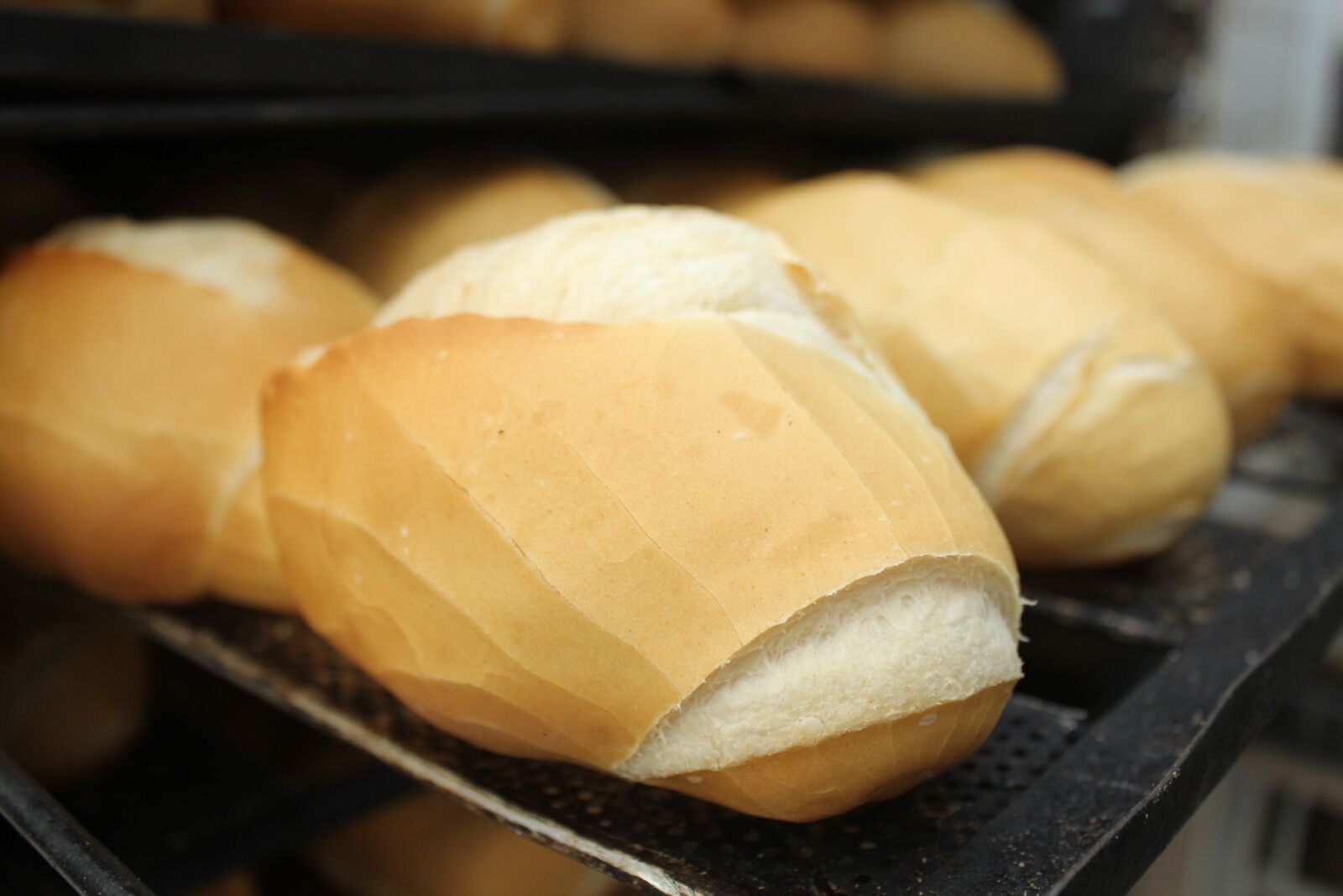 Canon EOS 600D (Rebel EOS T3i / EOS Kiss X5) sample photo. Food, flour, no person photography