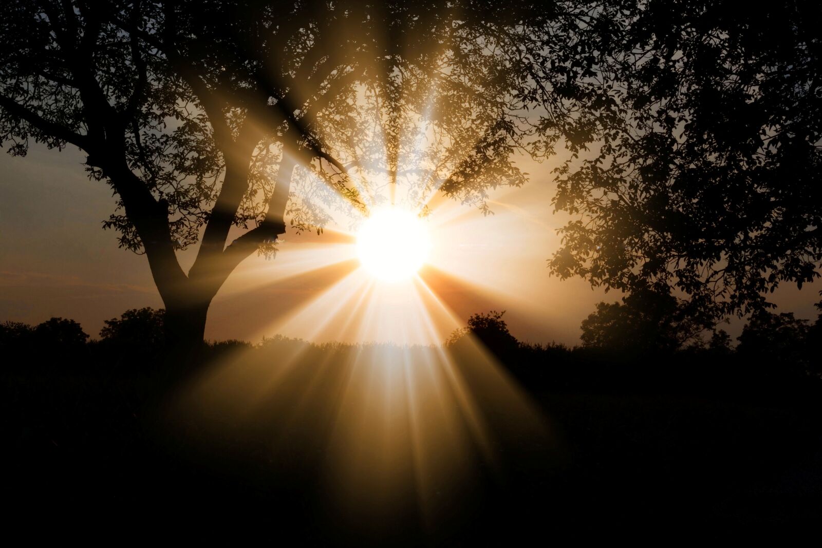 Nikon D7100 sample photo. Sun, dawn, nature photography