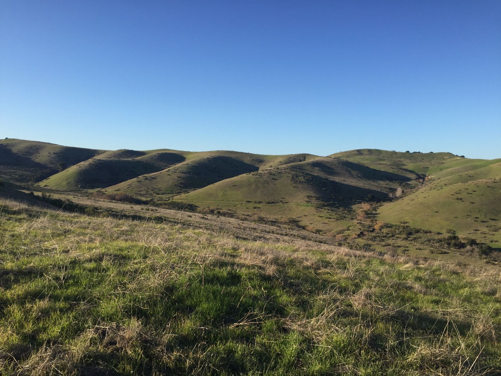 iPhone 6 back camera 4.15mm f/2.2 sample photo. Rolling hills, adventure, tranquility photography