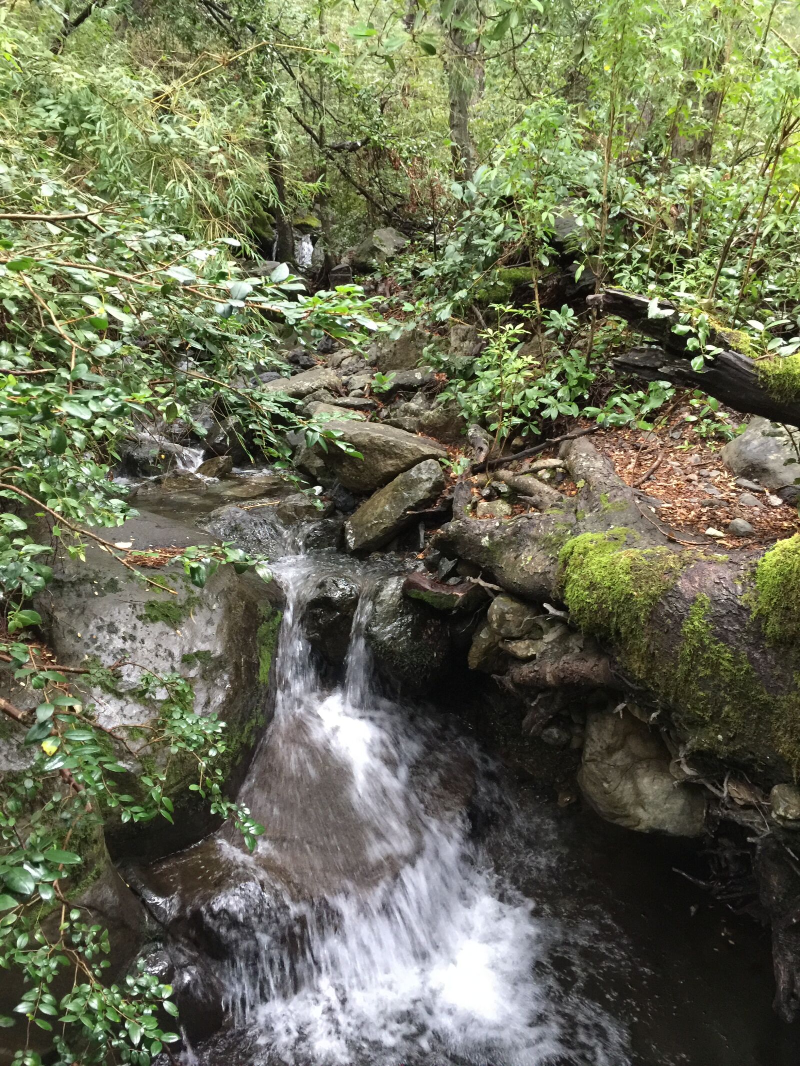 iPhone 6 Plus back camera 4.15mm f/2.2 sample photo. Paisaje, chile, rio photography