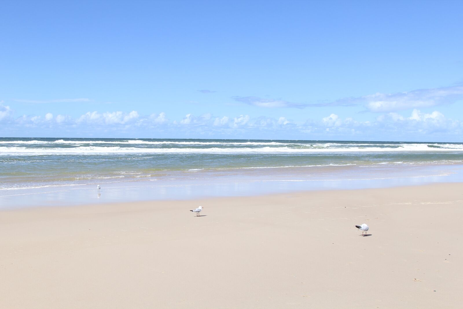 Canon EOS 60D + Canon EF 24-105mm F4L IS USM sample photo. Sea, pacific ocean, gold photography