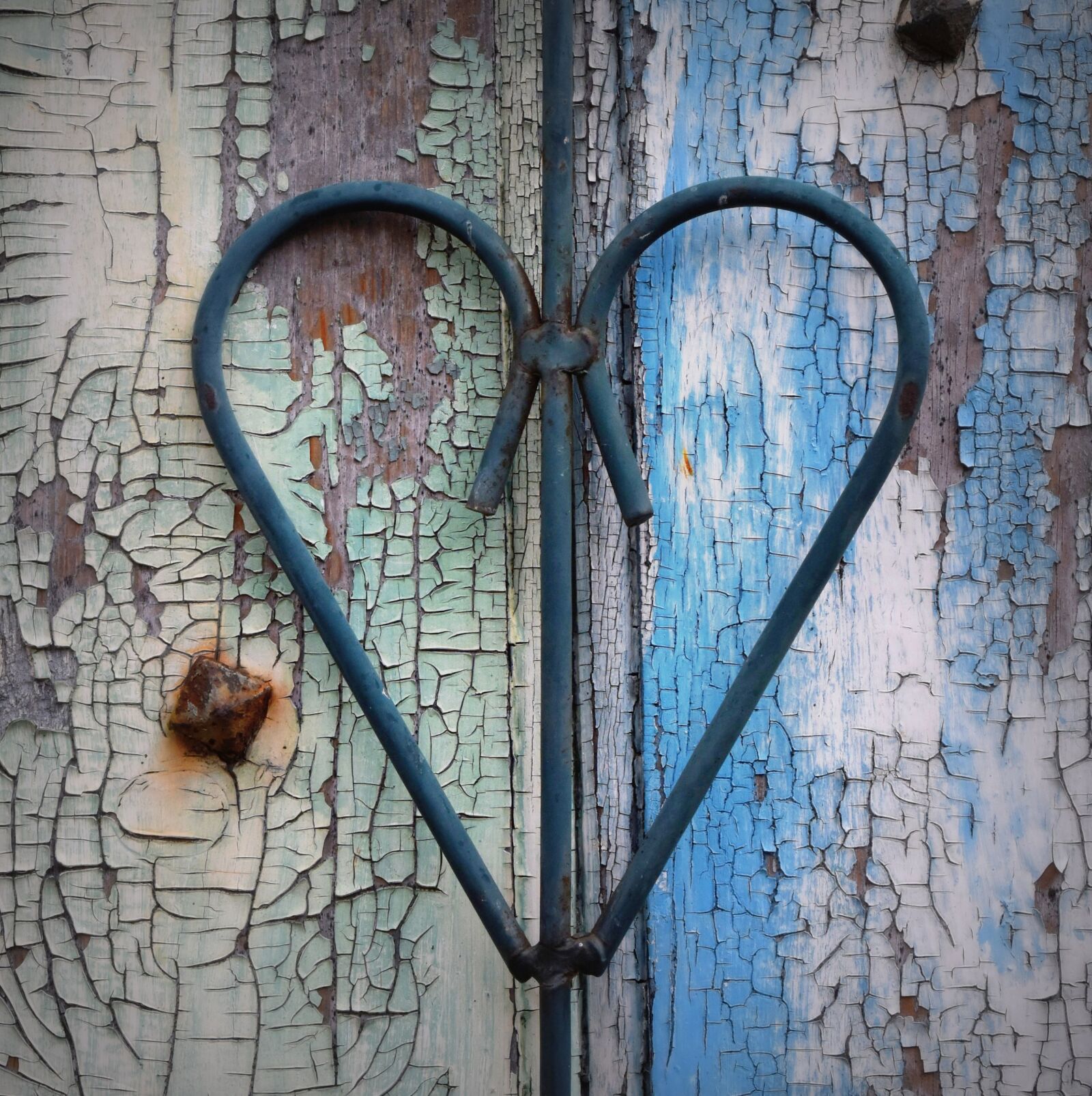 Nikon D7200 sample photo. Heart, love, romance photography