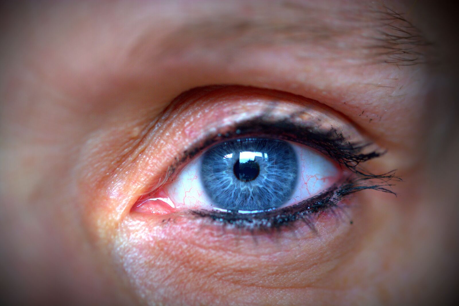 Nikon D5200 sample photo. Eye, human eye, blue photography