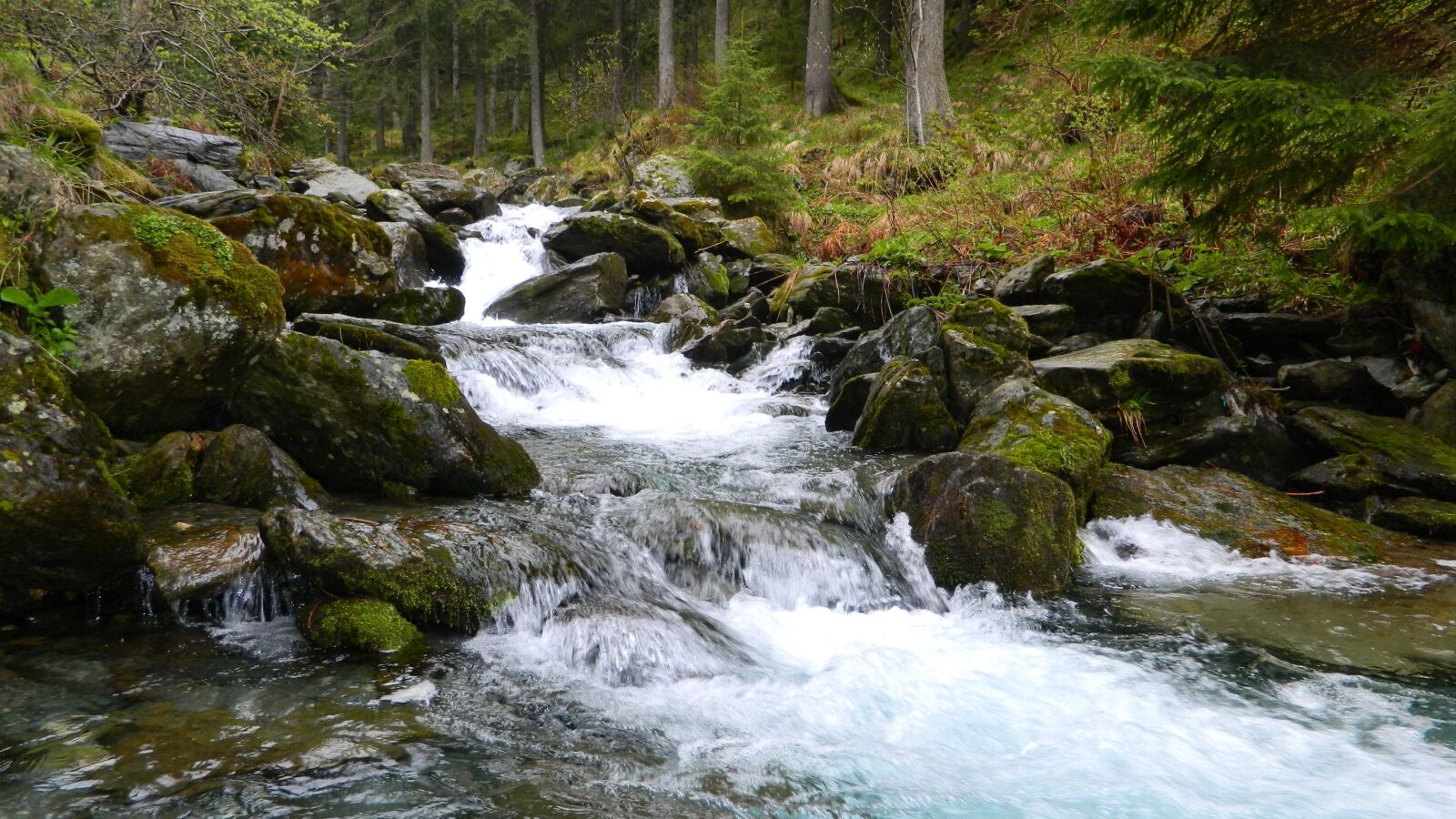 Nikon COOLPIX L310 sample photo. Small river, mountain river photography