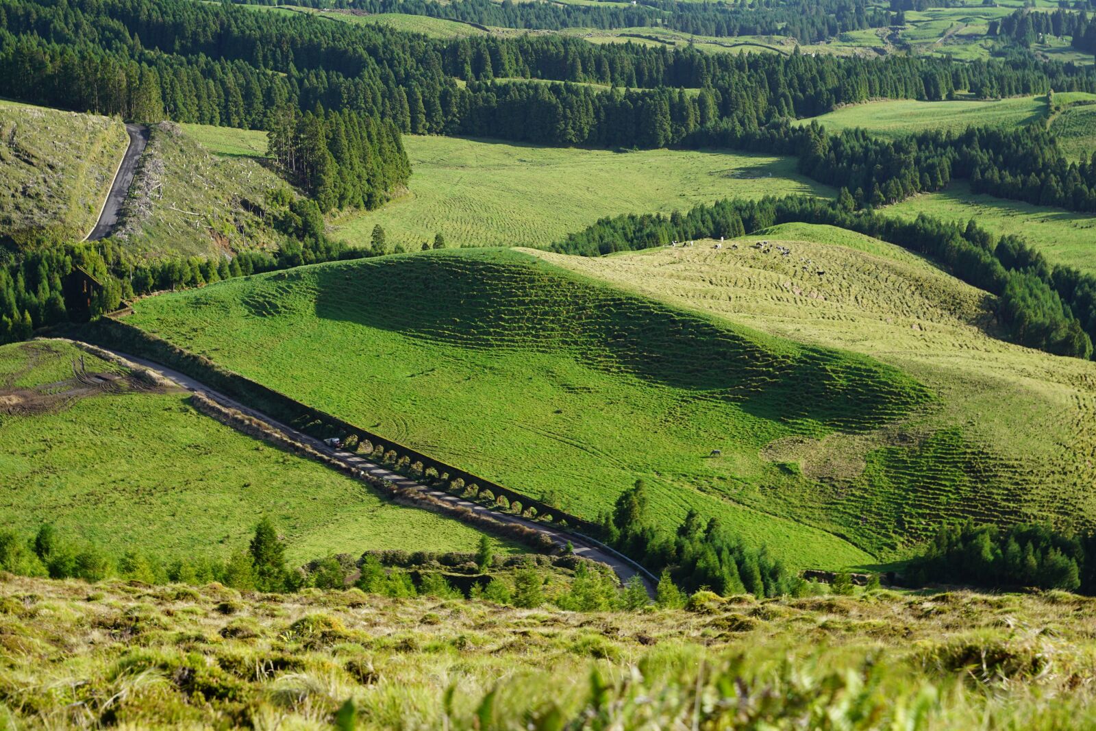 Sony ILCA-77M2 + Sony DT 16-50mm F2.8 SSM sample photo. Azores, portugal, nature photography