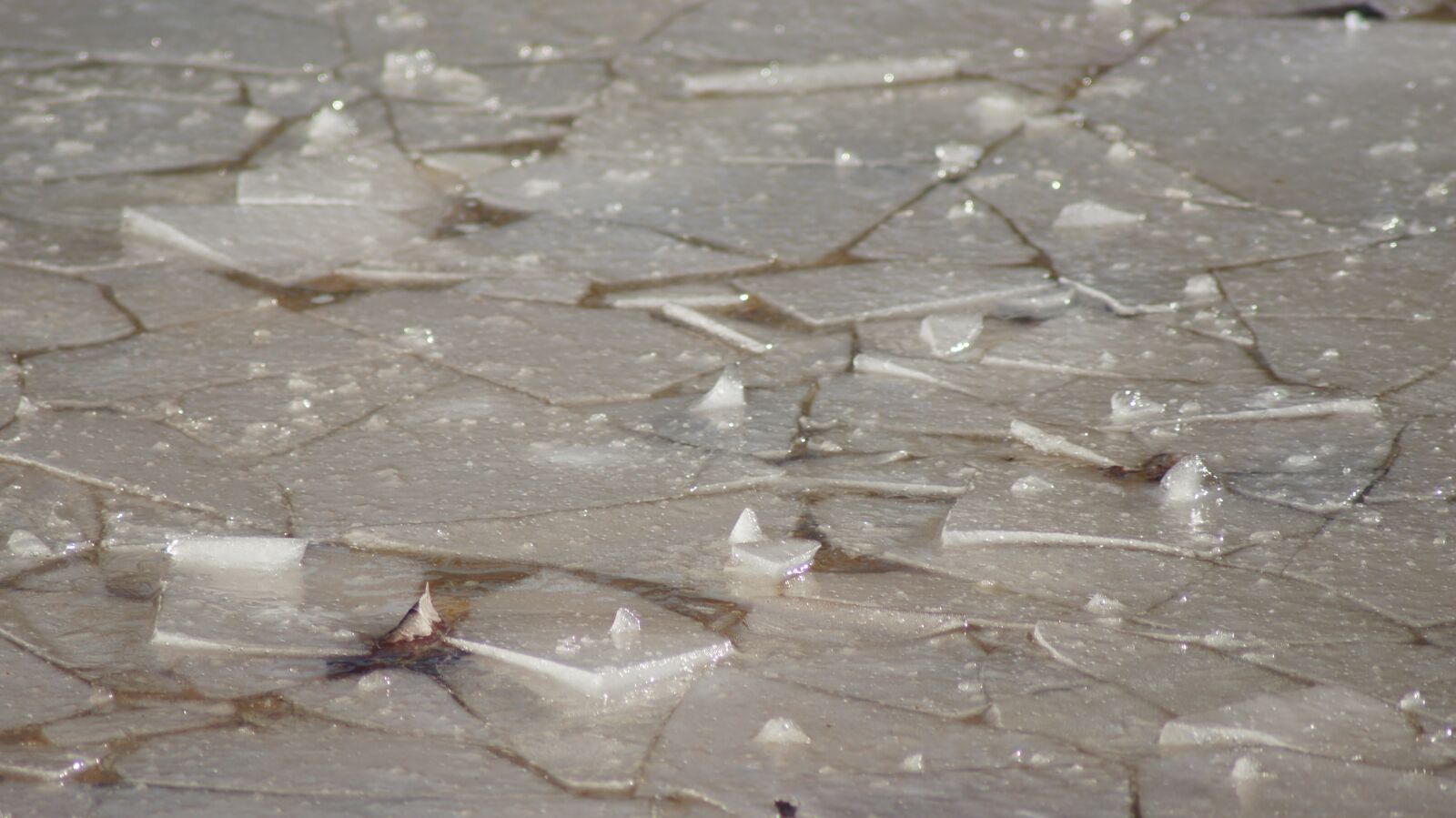 Sony SLT-A55 (SLT-A55V) sample photo. Ice, plaice, pond photography