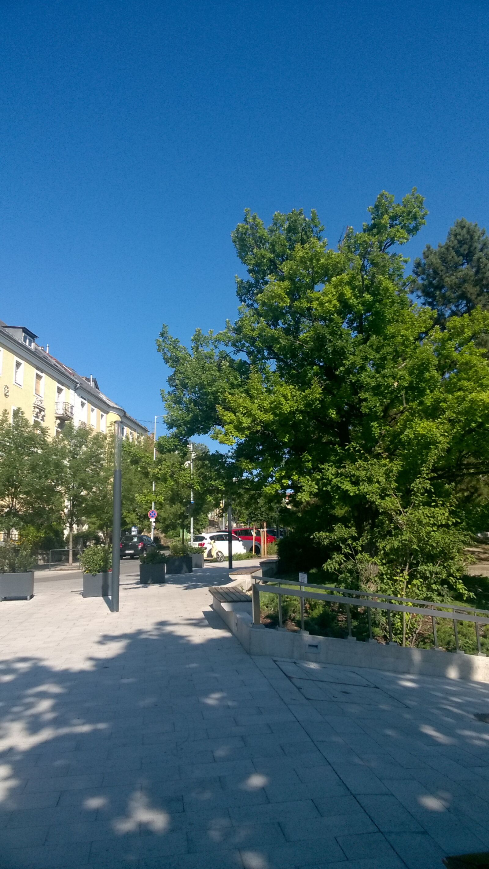 Nokia Lumia 735 sample photo. City, street, trees photography