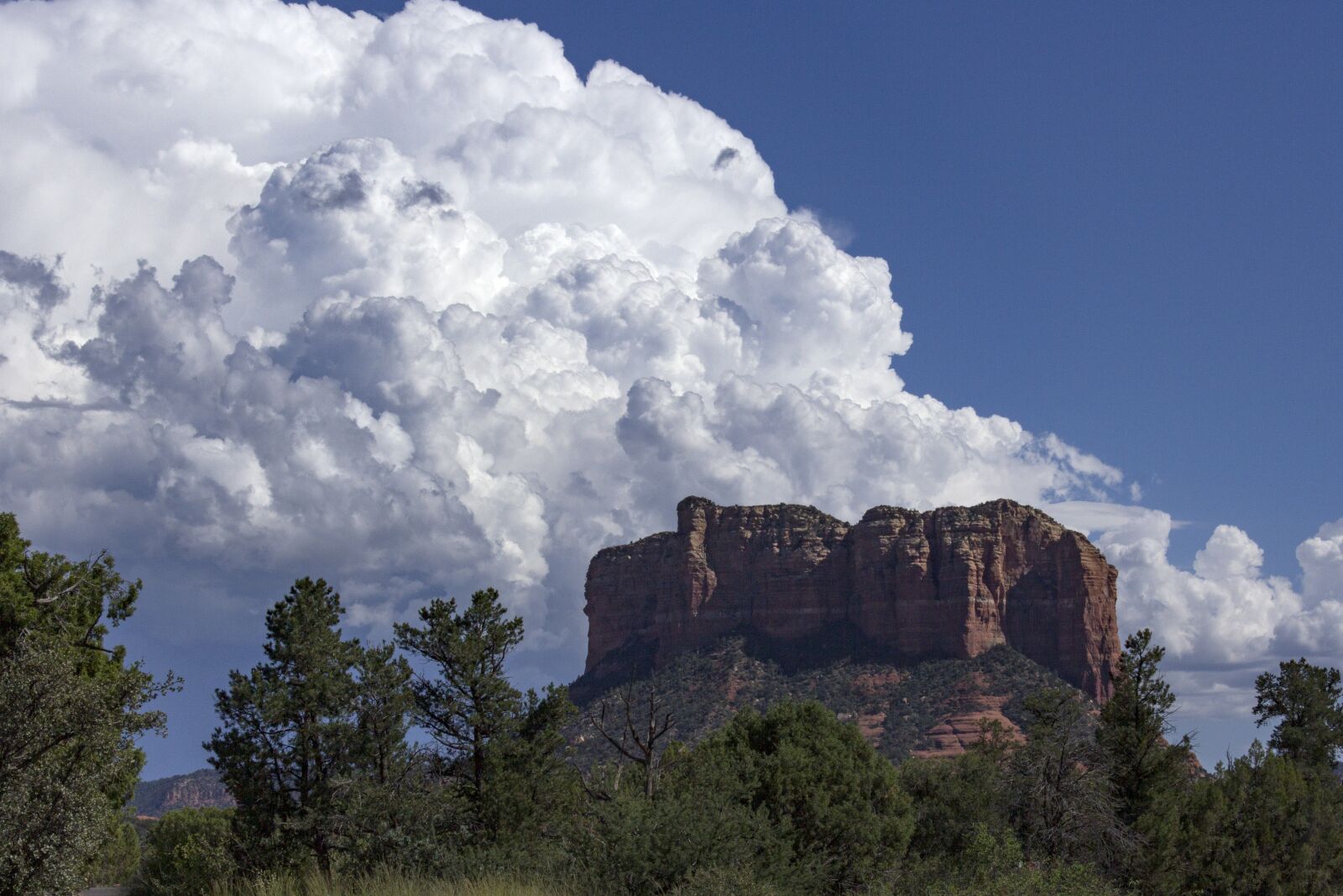 Canon EOS 60D sample photo. Nature, clouds, park photography