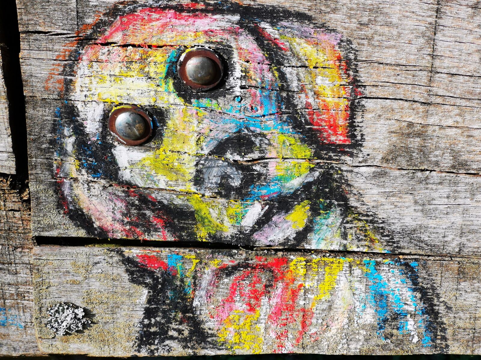 HUAWEI LYA-L29 sample photo. Animal, drawing, chalk photography