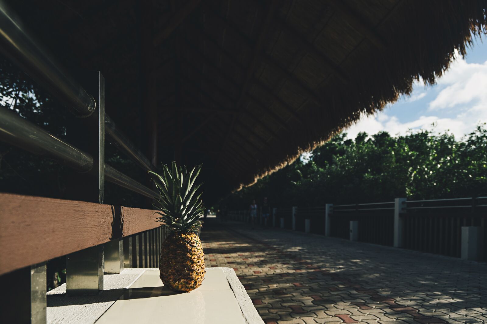 Sony a7 II + Sony Vario-Tessar T* FE 16-35mm F4 ZA OSS sample photo. Daylight, fruit, outdoors photography