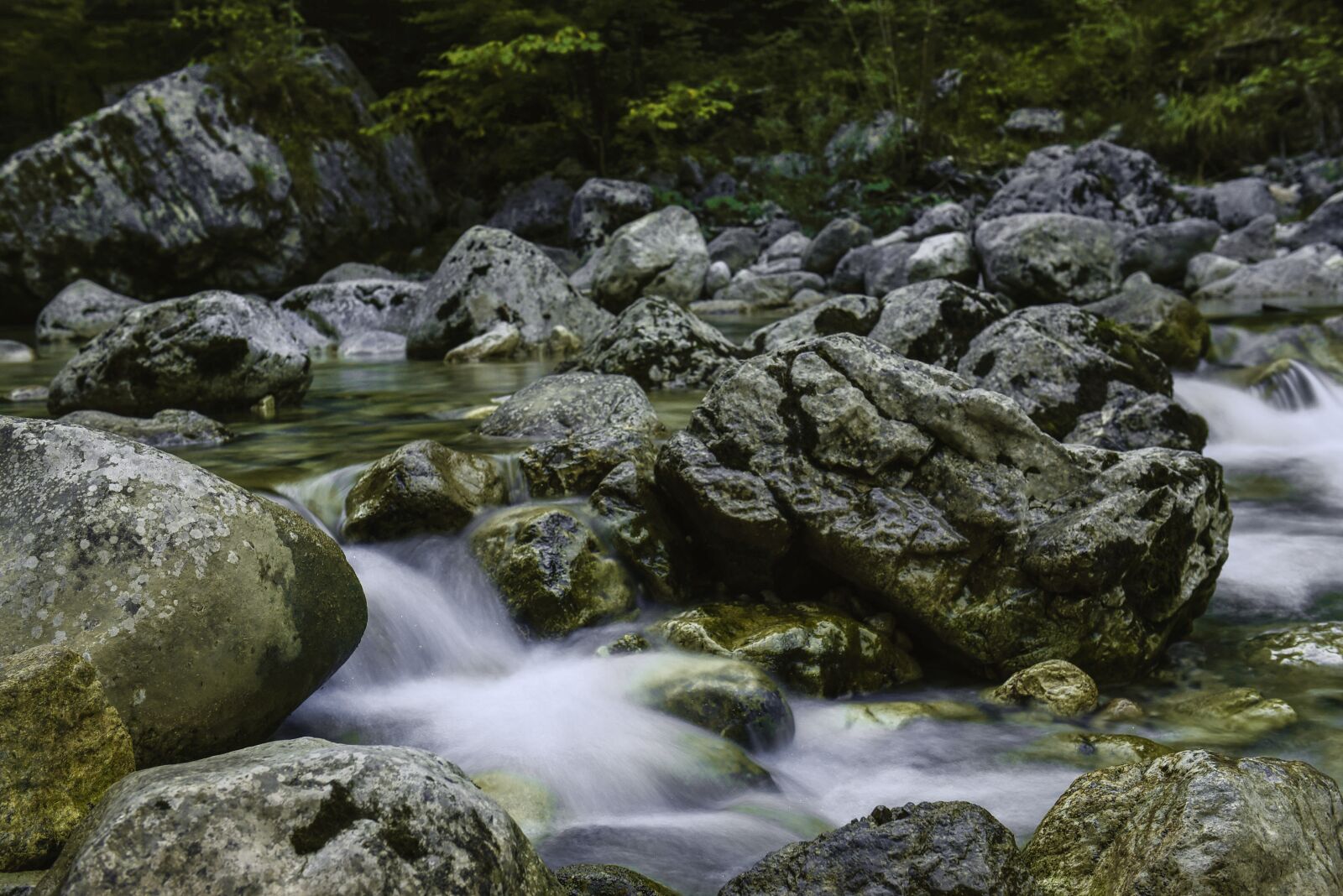 Nikon D750 sample photo. Water, inject, forest photography