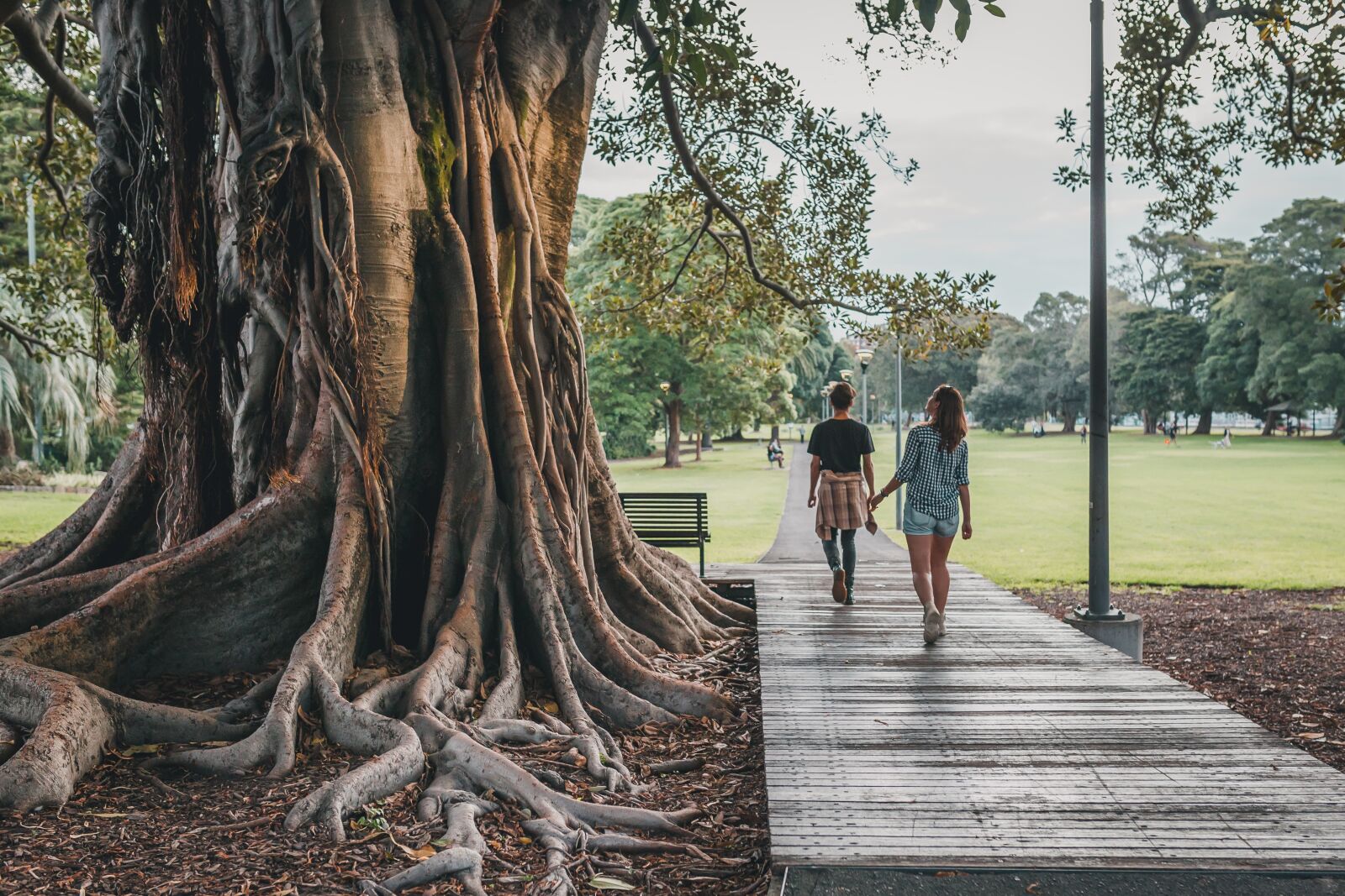 Canon EOS 6D sample photo. Tree, park, nature photography
