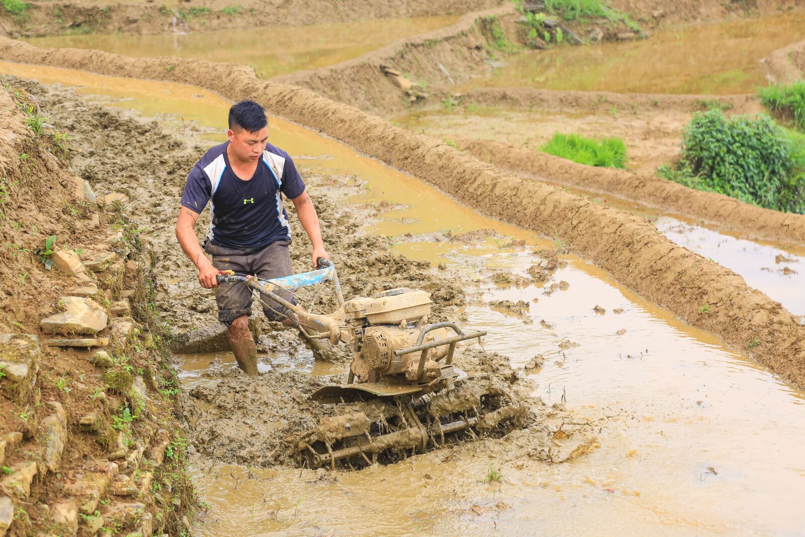 Canon EF 24-105mm F4L IS USM sample photo. Vietnam, farmers, plowing photography