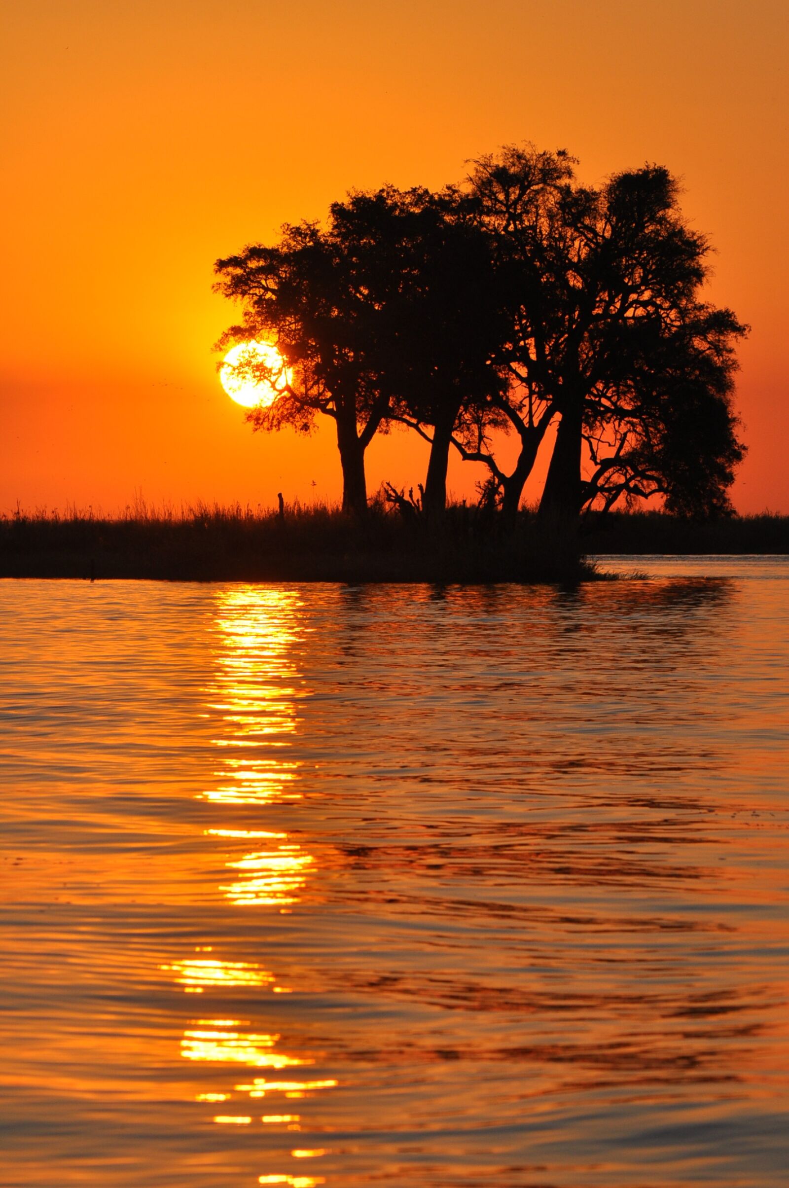 Nikon D90 sample photo. Sunset, dawn, dusk photography