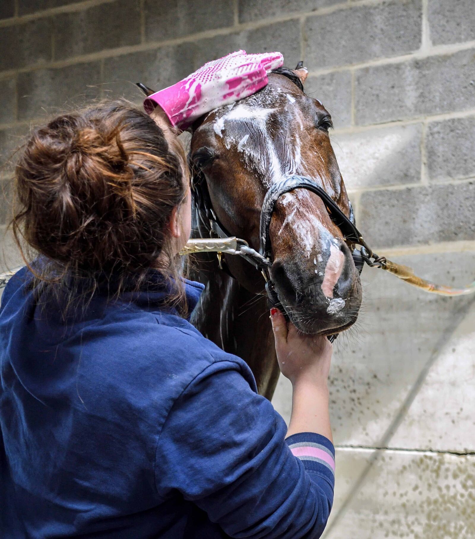 Nikon D500 sample photo. Woman, horse, shadow, head photography