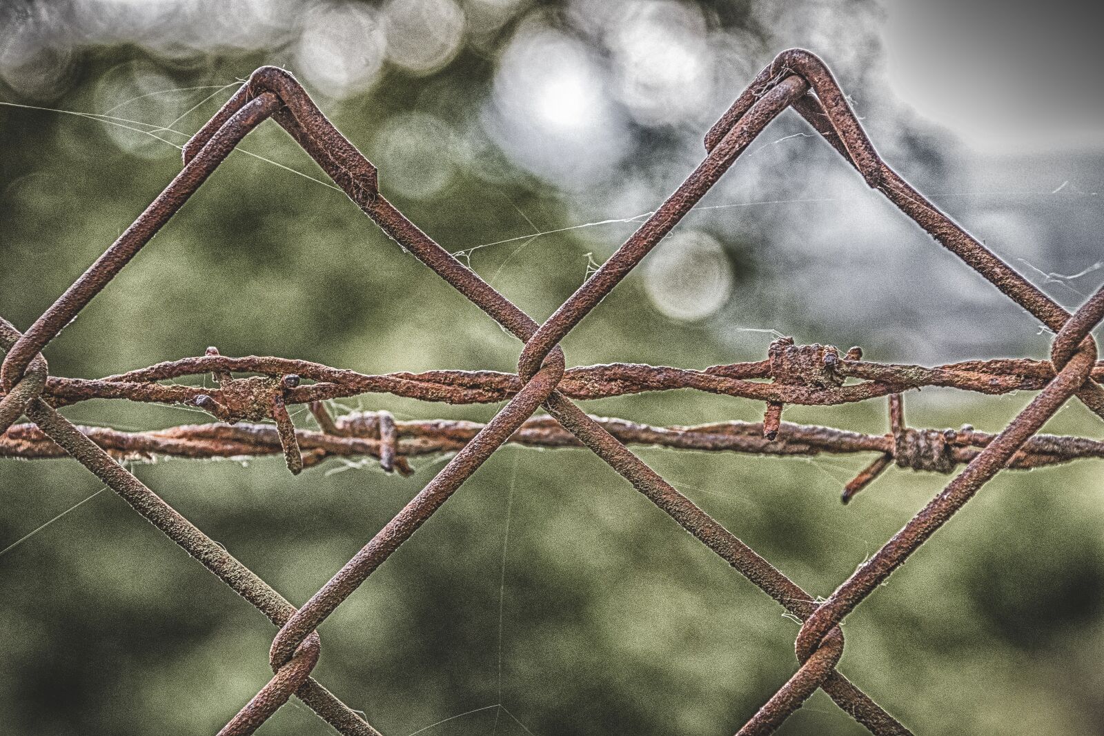 Canon EOS 80D sample photo. Rusty, iron, structure photography